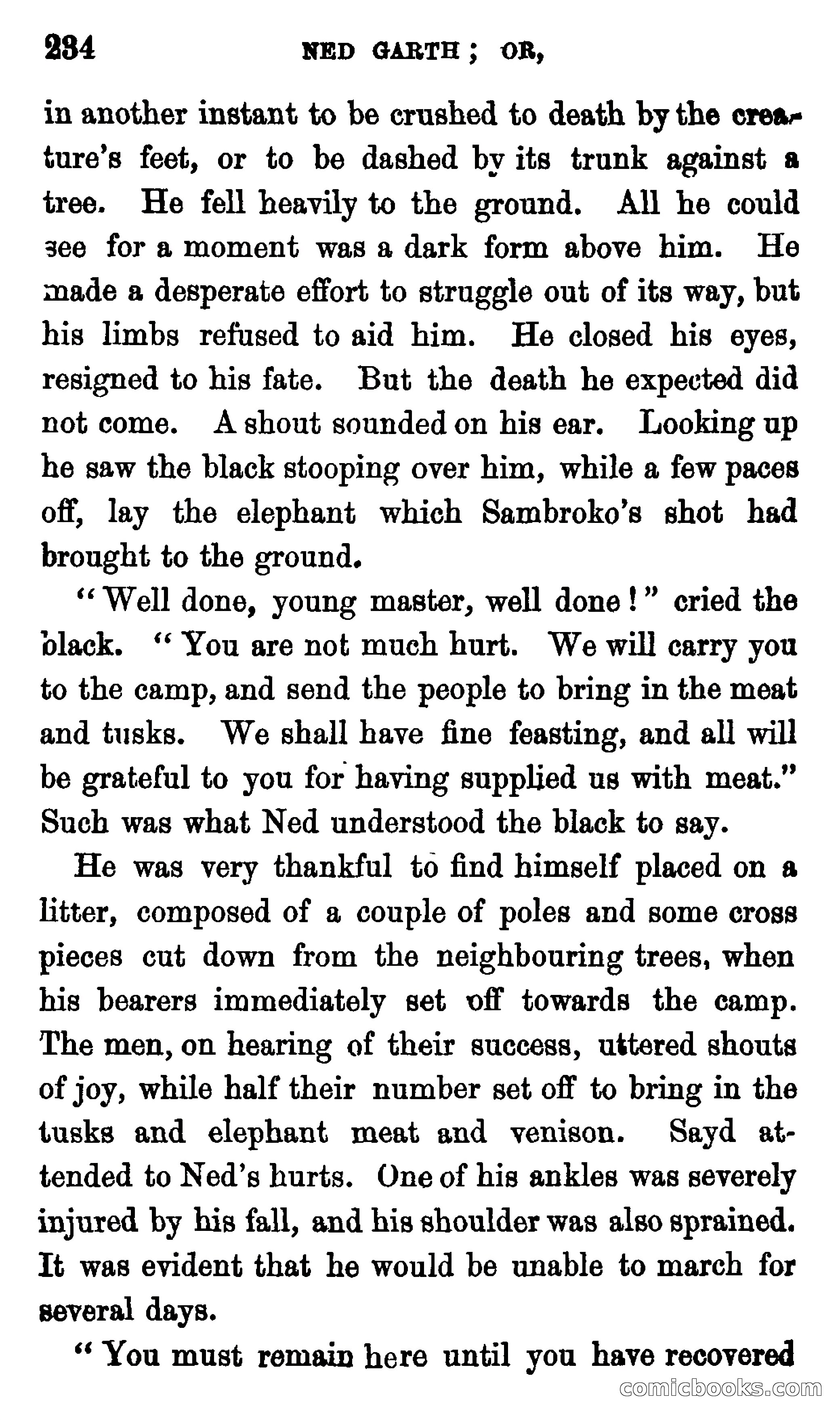 Ned Garth; or, Made Prisoner in Africa — page 238 of 260