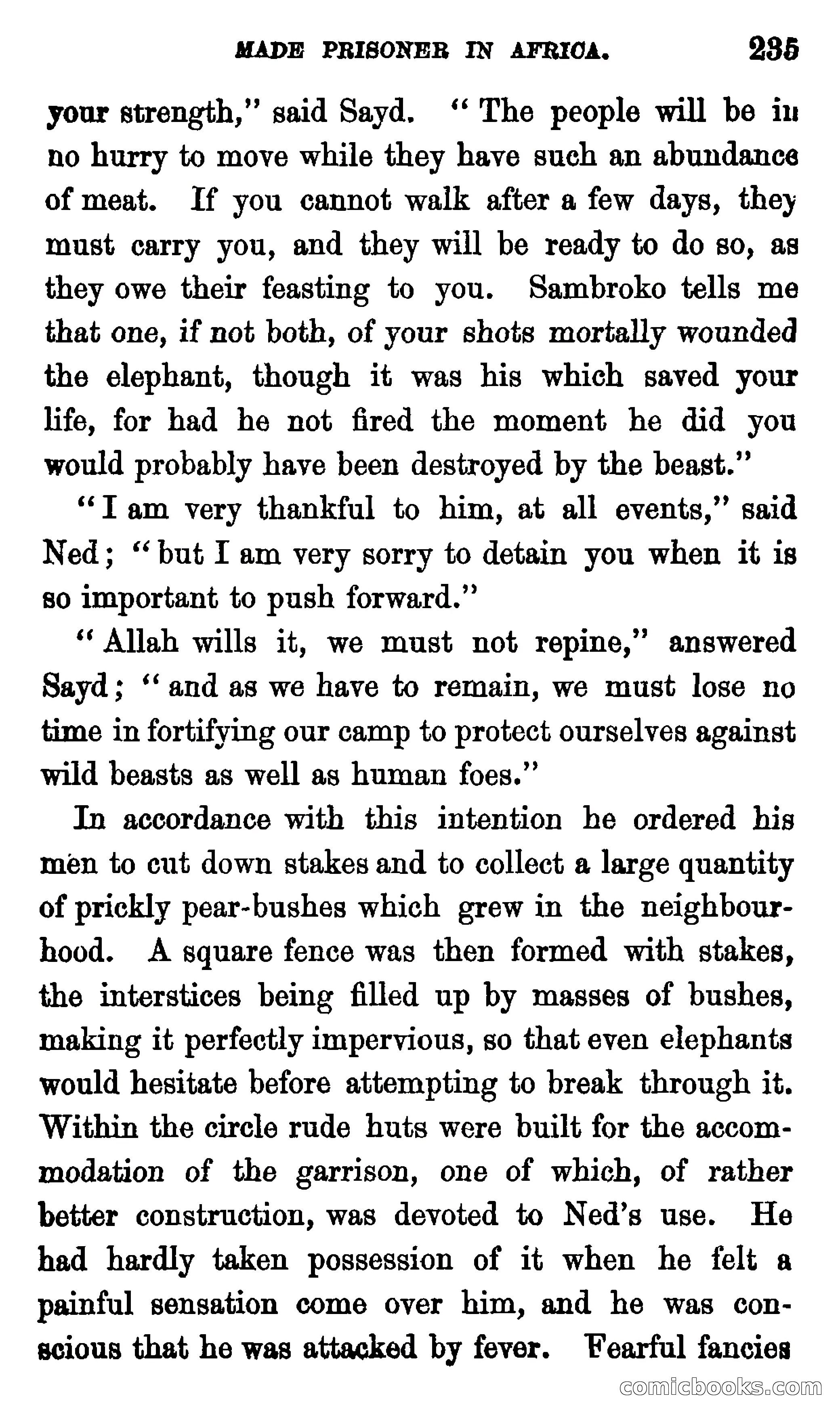 Ned Garth; or, Made Prisoner in Africa — page 239 of 260