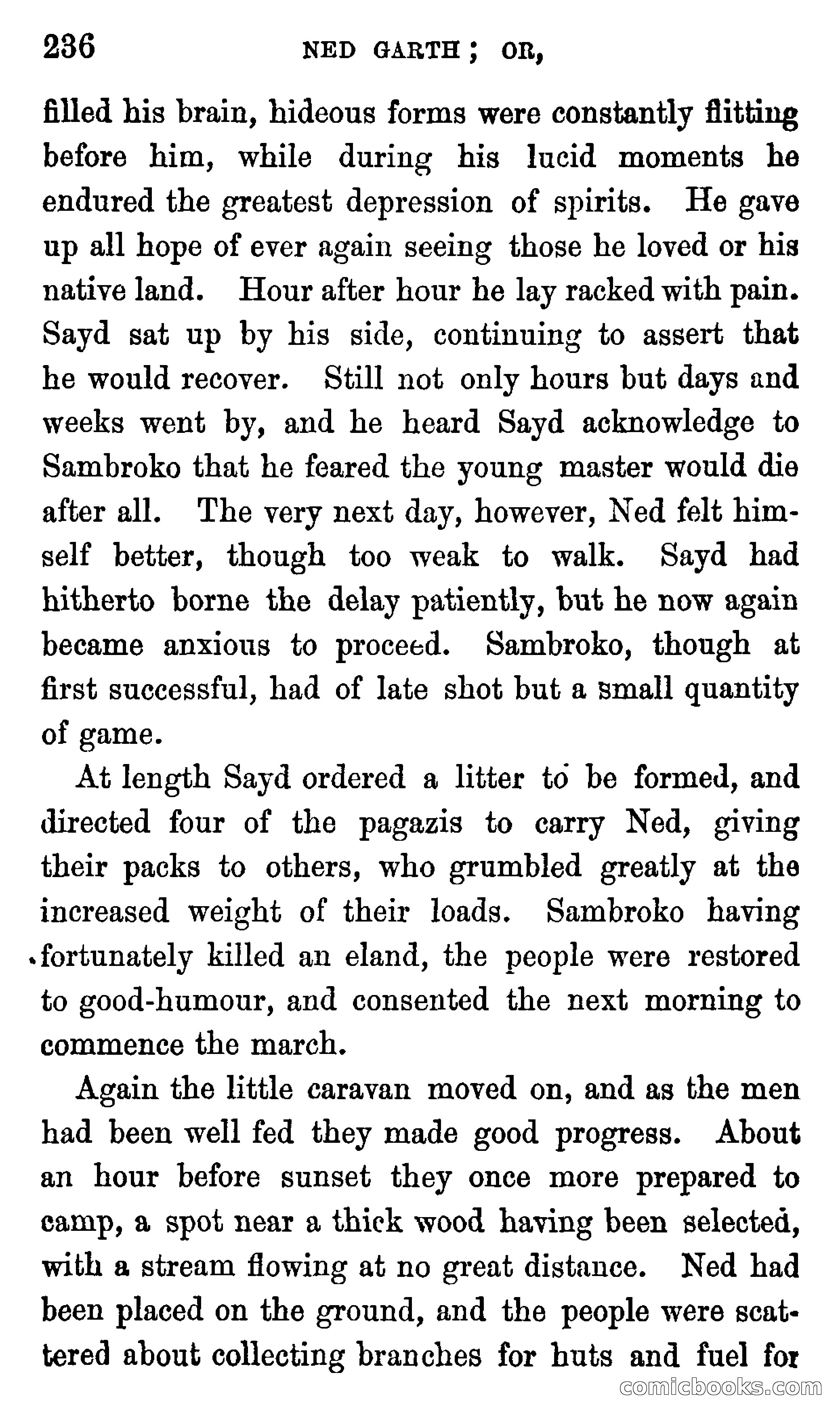 Ned Garth; or, Made Prisoner in Africa — page 240 of 260