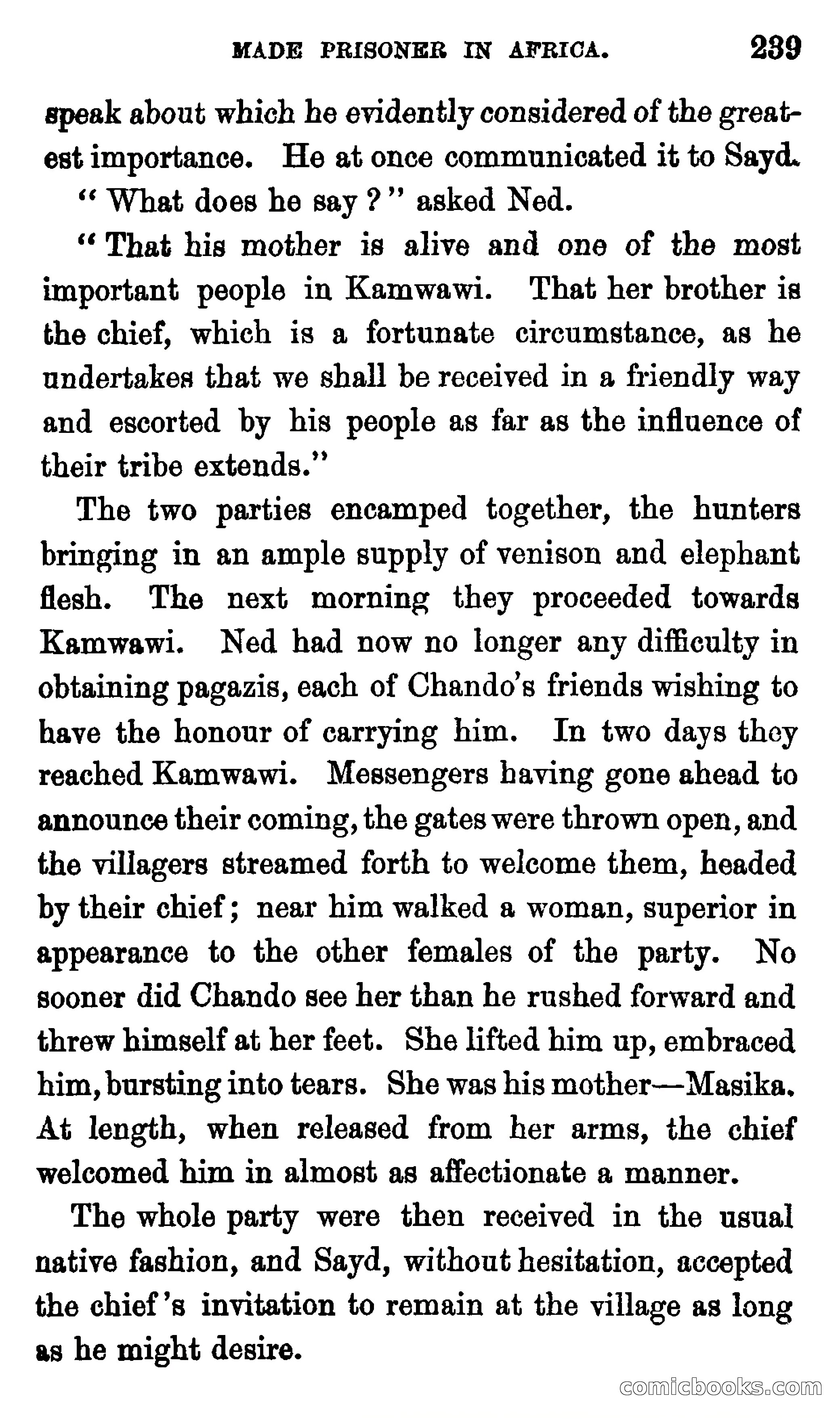 Ned Garth; or, Made Prisoner in Africa — page 243 of 260