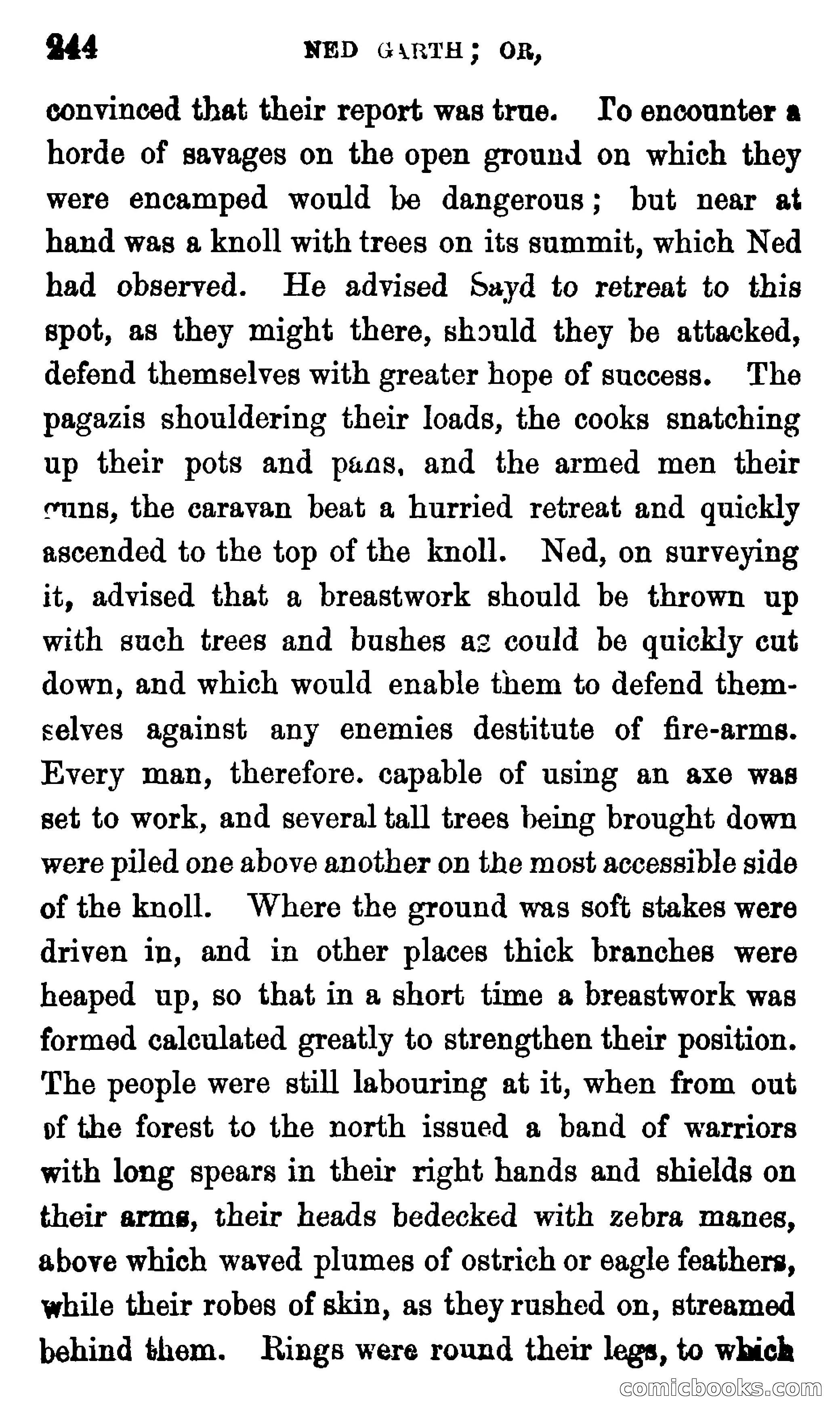 Ned Garth; or, Made Prisoner in Africa — page 248 of 260