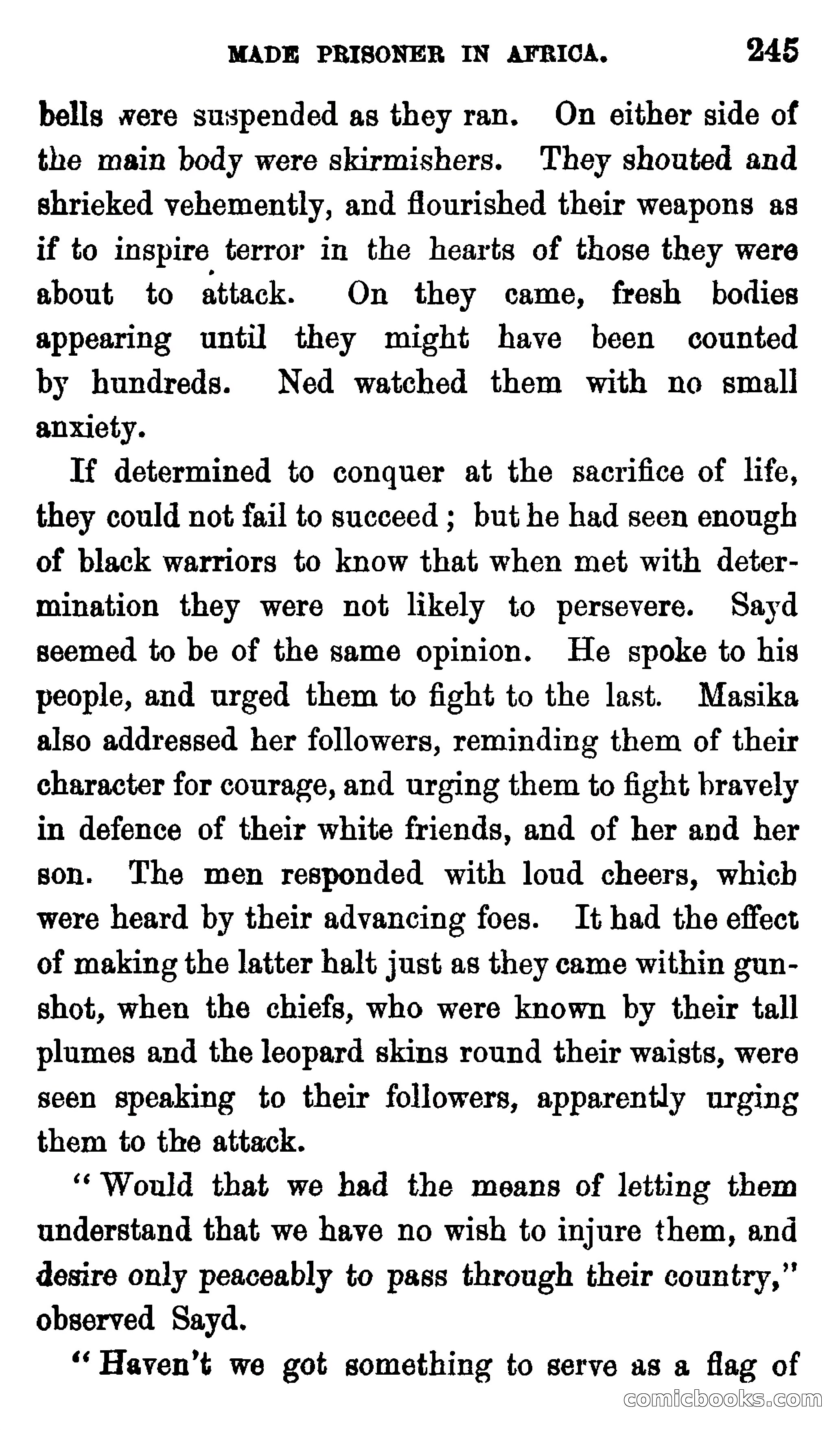 Ned Garth; or, Made Prisoner in Africa — page 249 of 260