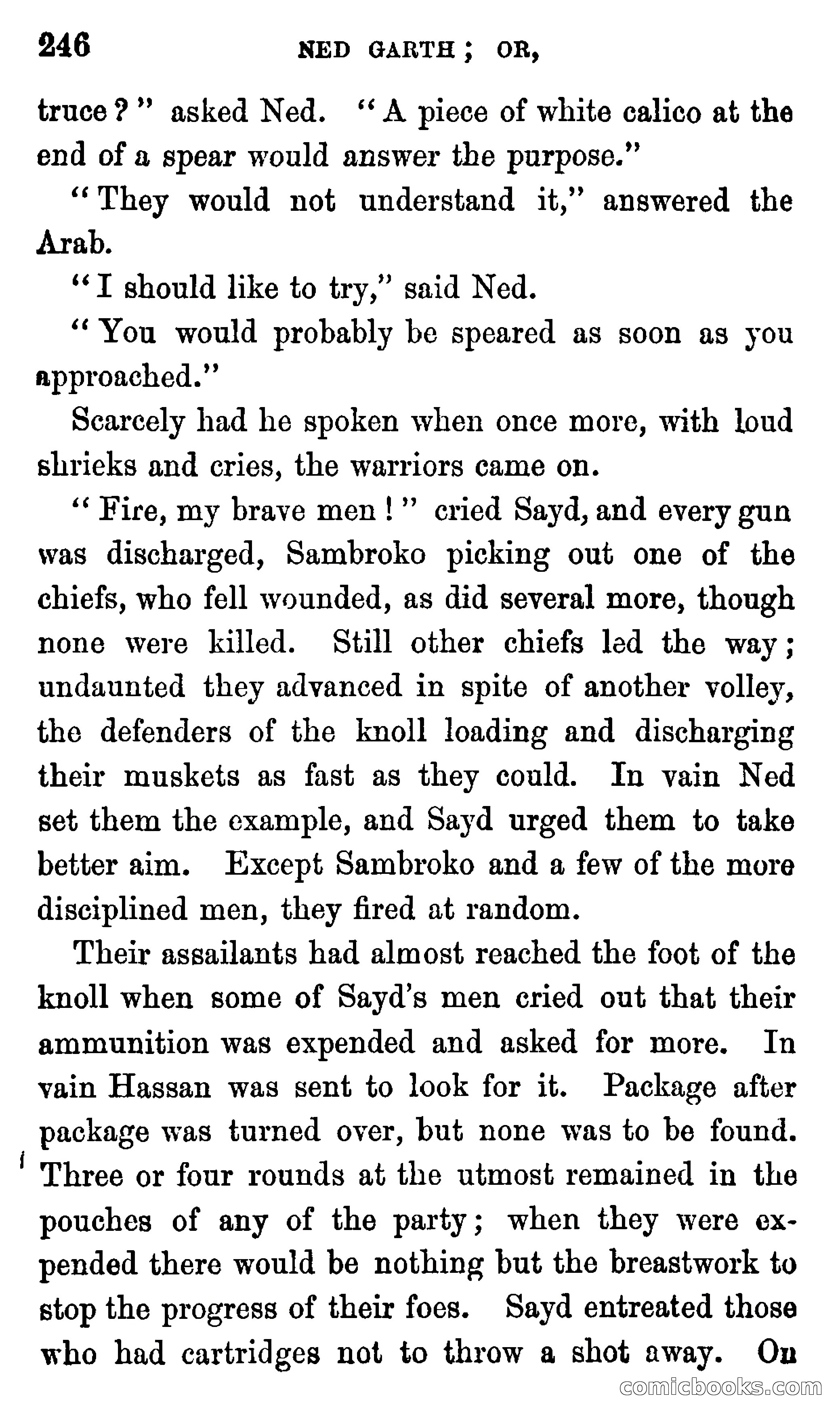 Ned Garth; or, Made Prisoner in Africa — page 250 of 260