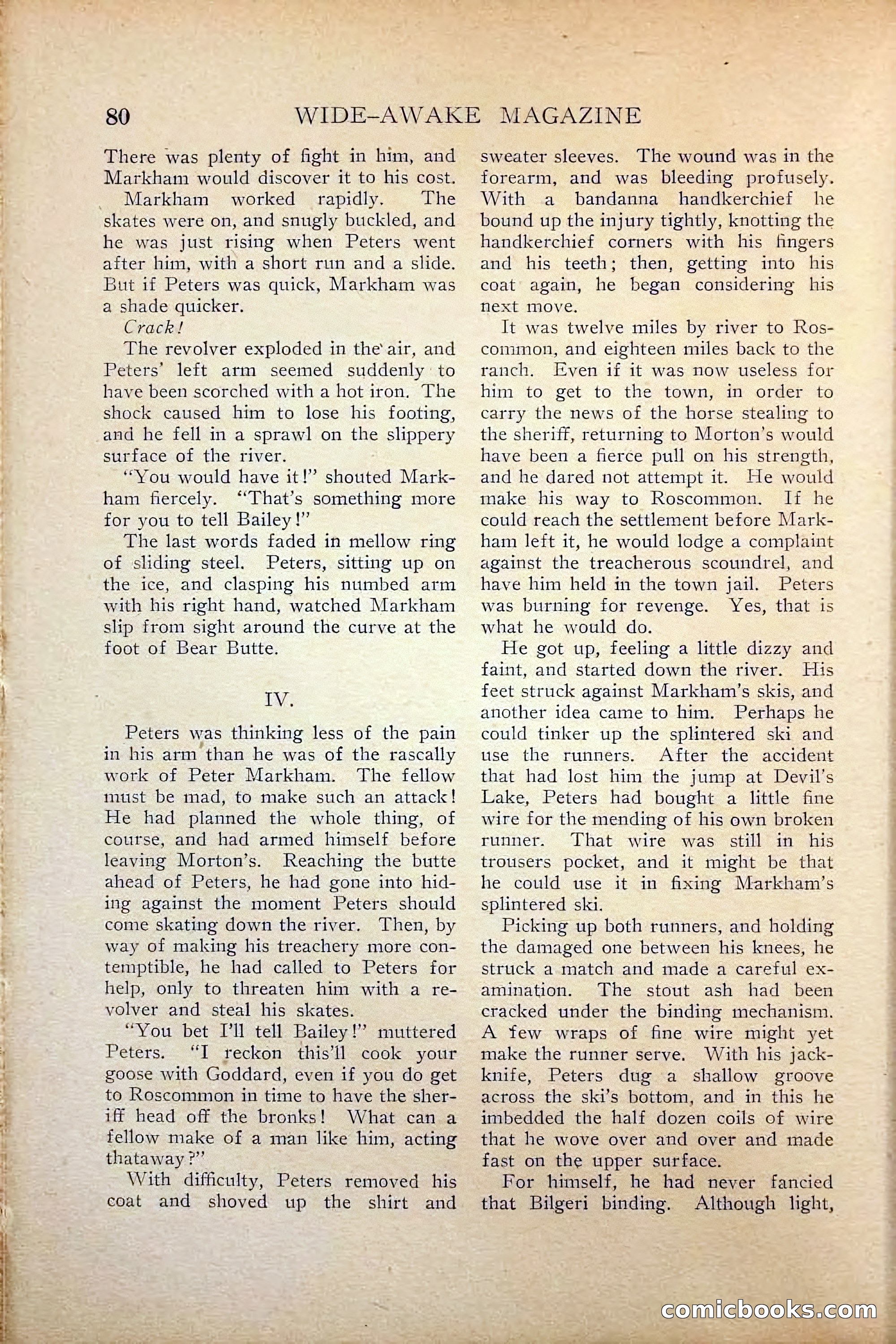 Wide-Awake Magazine — page 82 of 132