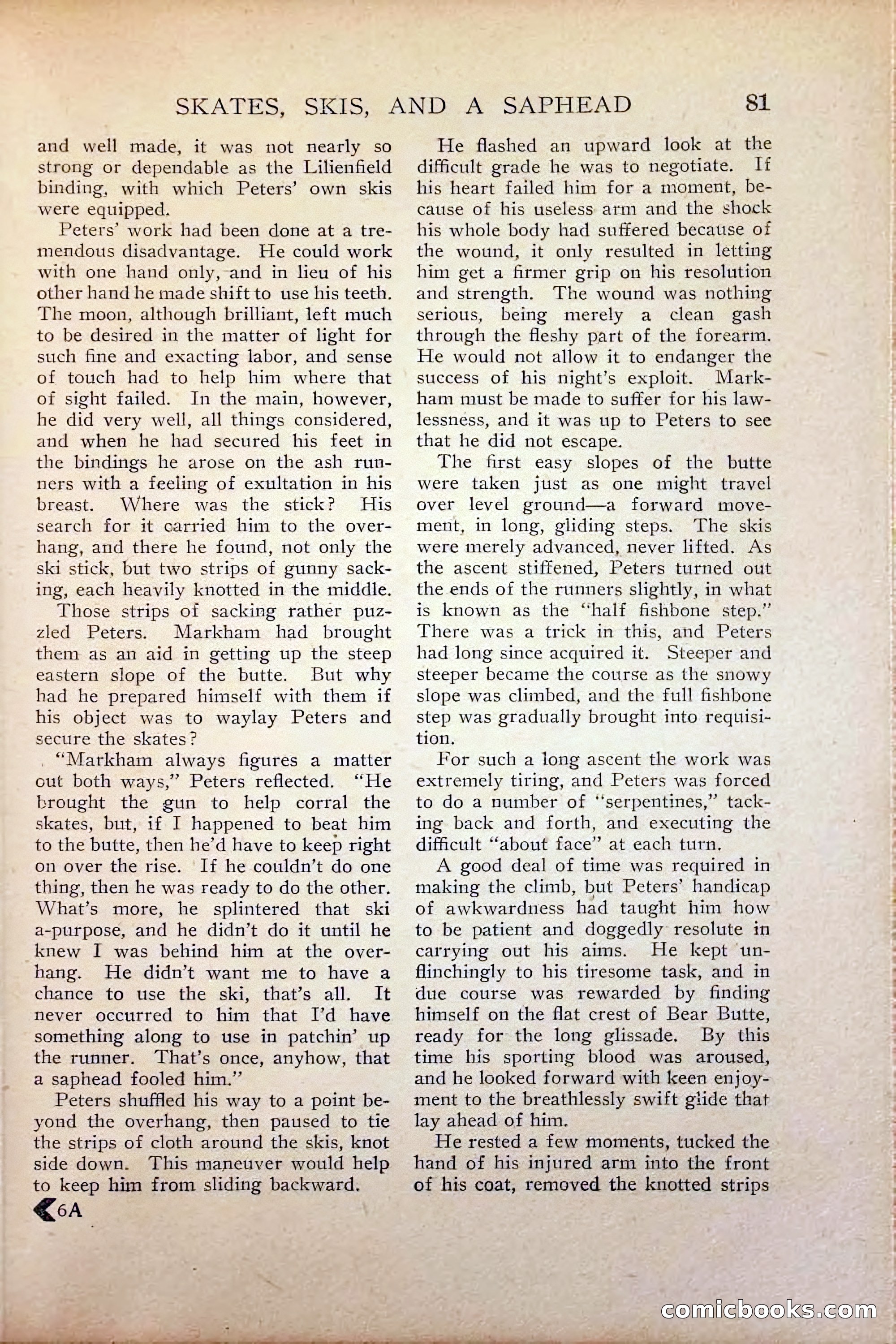 Wide-Awake Magazine — page 83 of 132