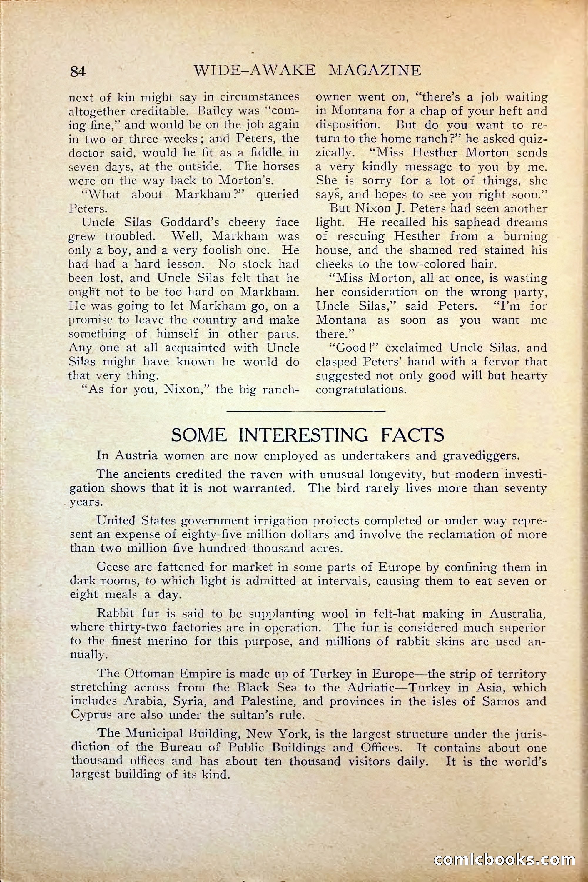 Wide-Awake Magazine — page 86 of 132