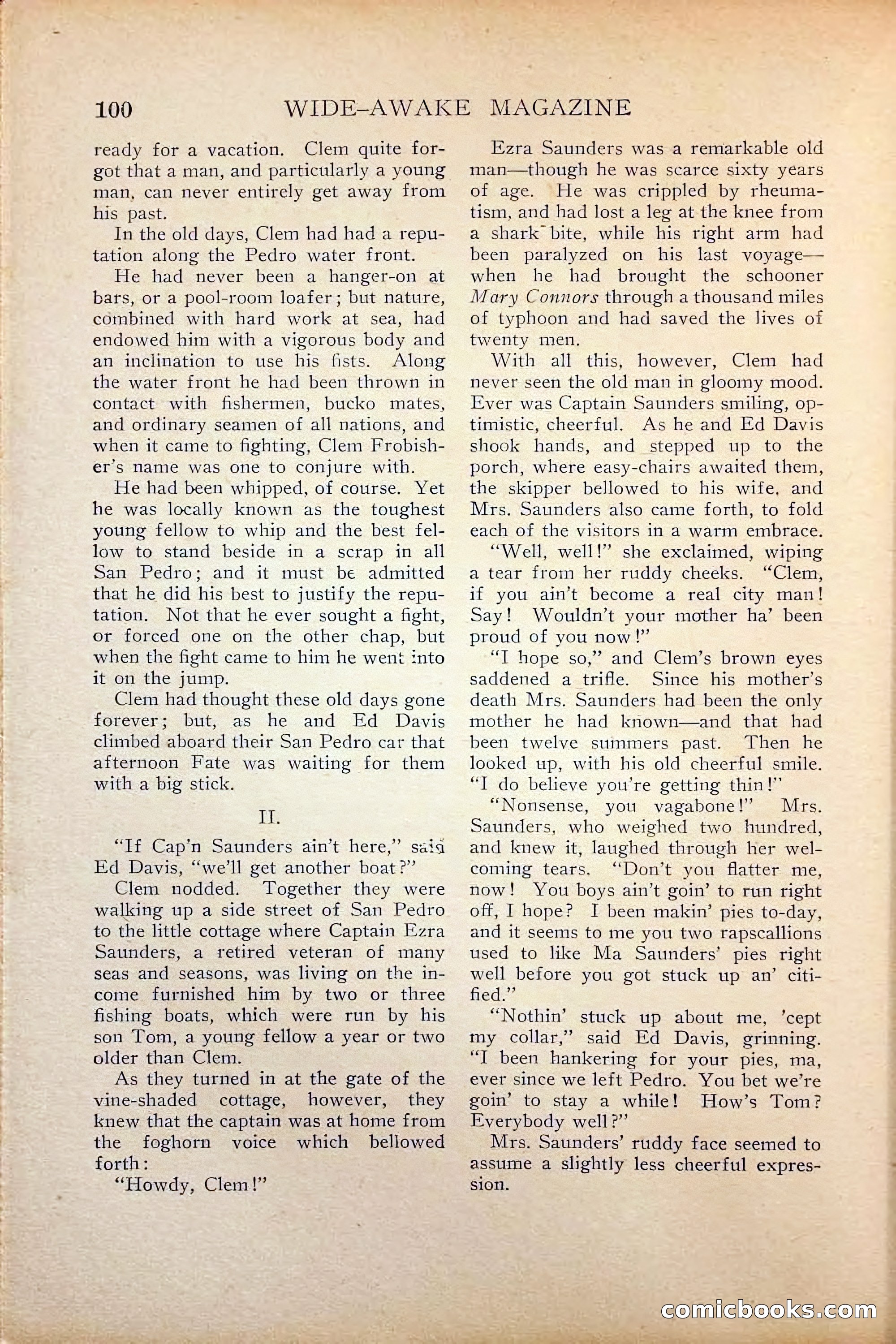 Wide-Awake Magazine — page 102 of 132