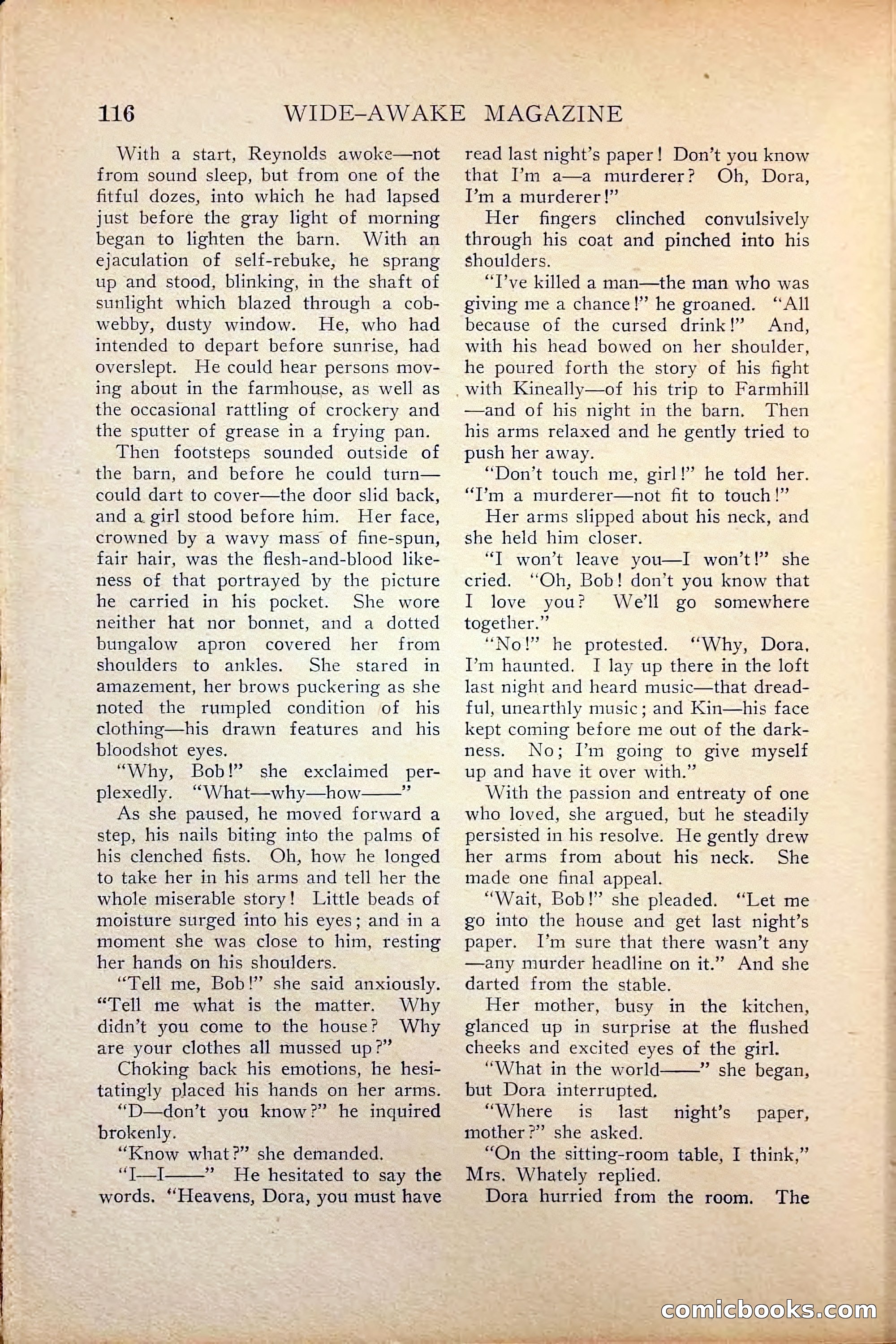 Wide-Awake Magazine — page 118 of 132