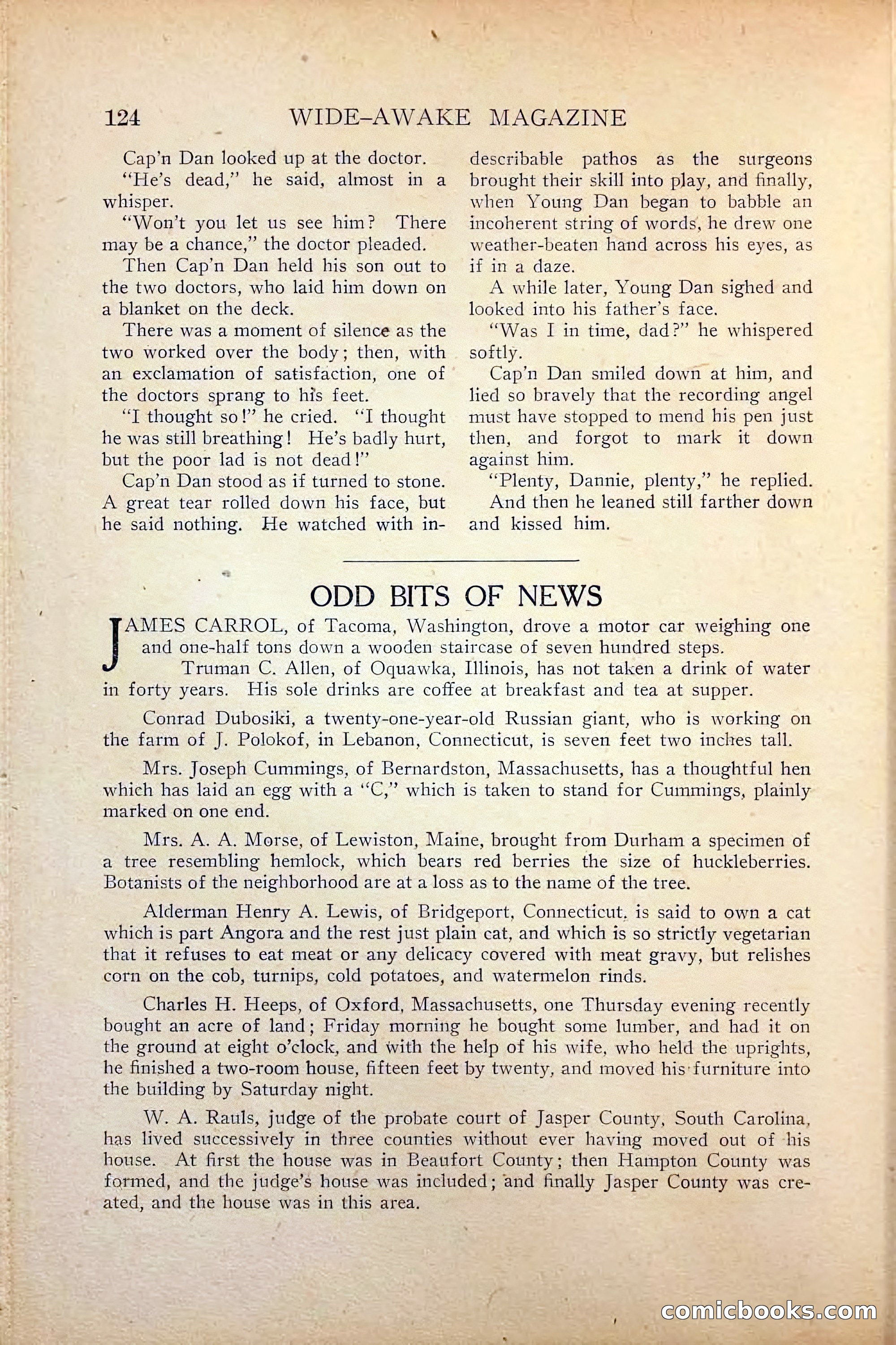 Wide-Awake Magazine — page 126 of 132