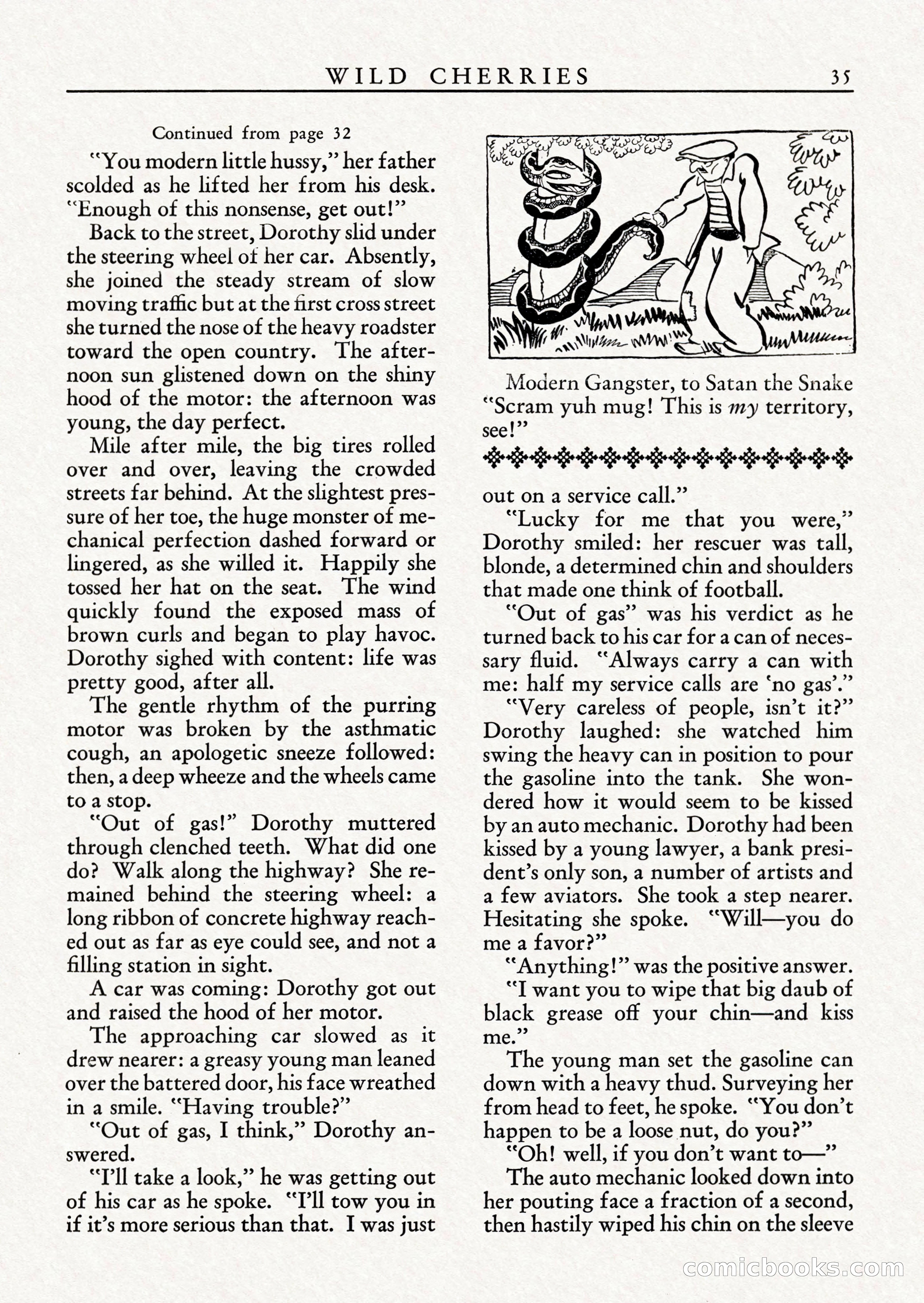 Wild Cherries, Vol. 1, No. 2 — page 37 of 68