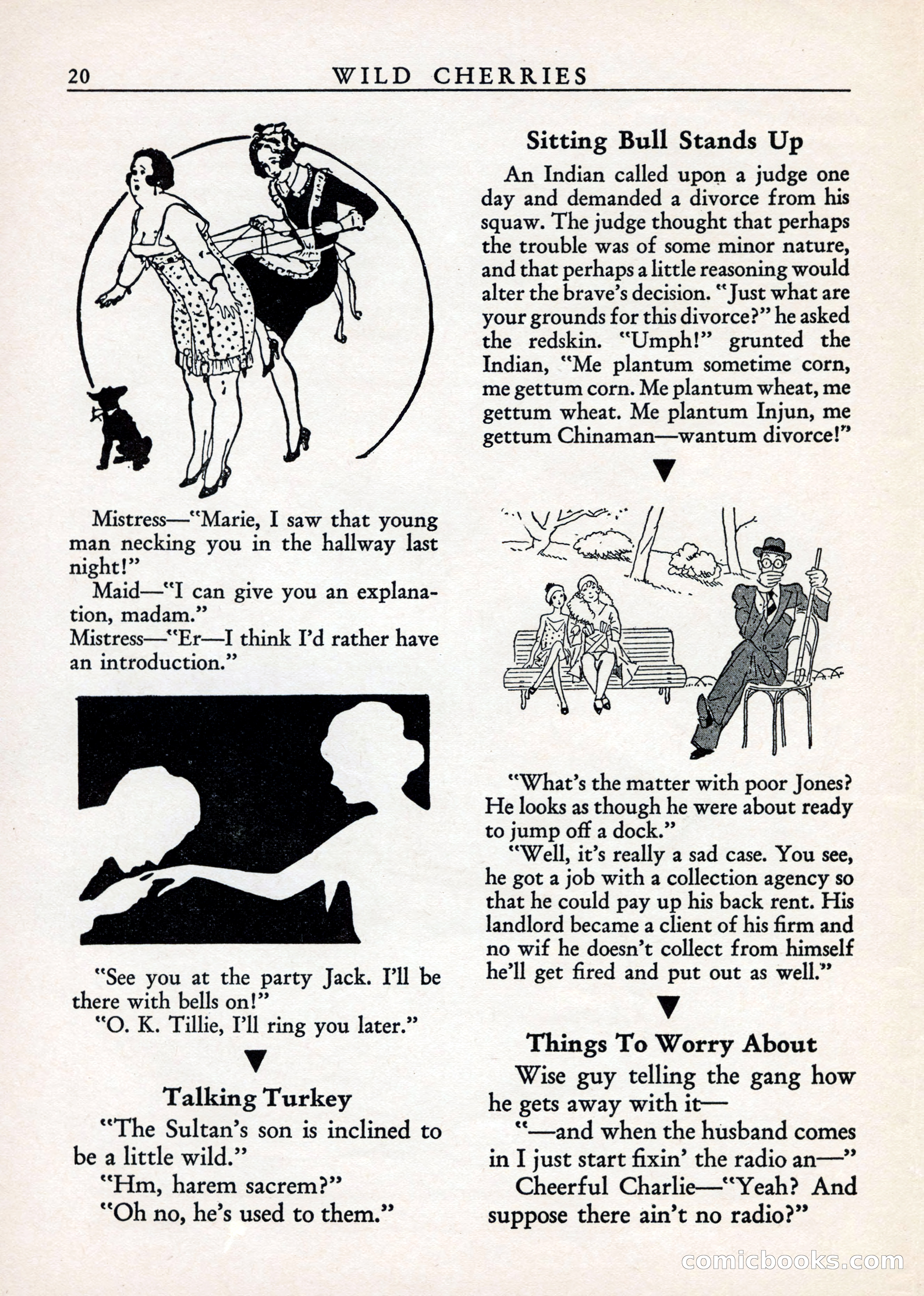 Wild Cherries, Vol. 1, No. 3 — page 22 of 68