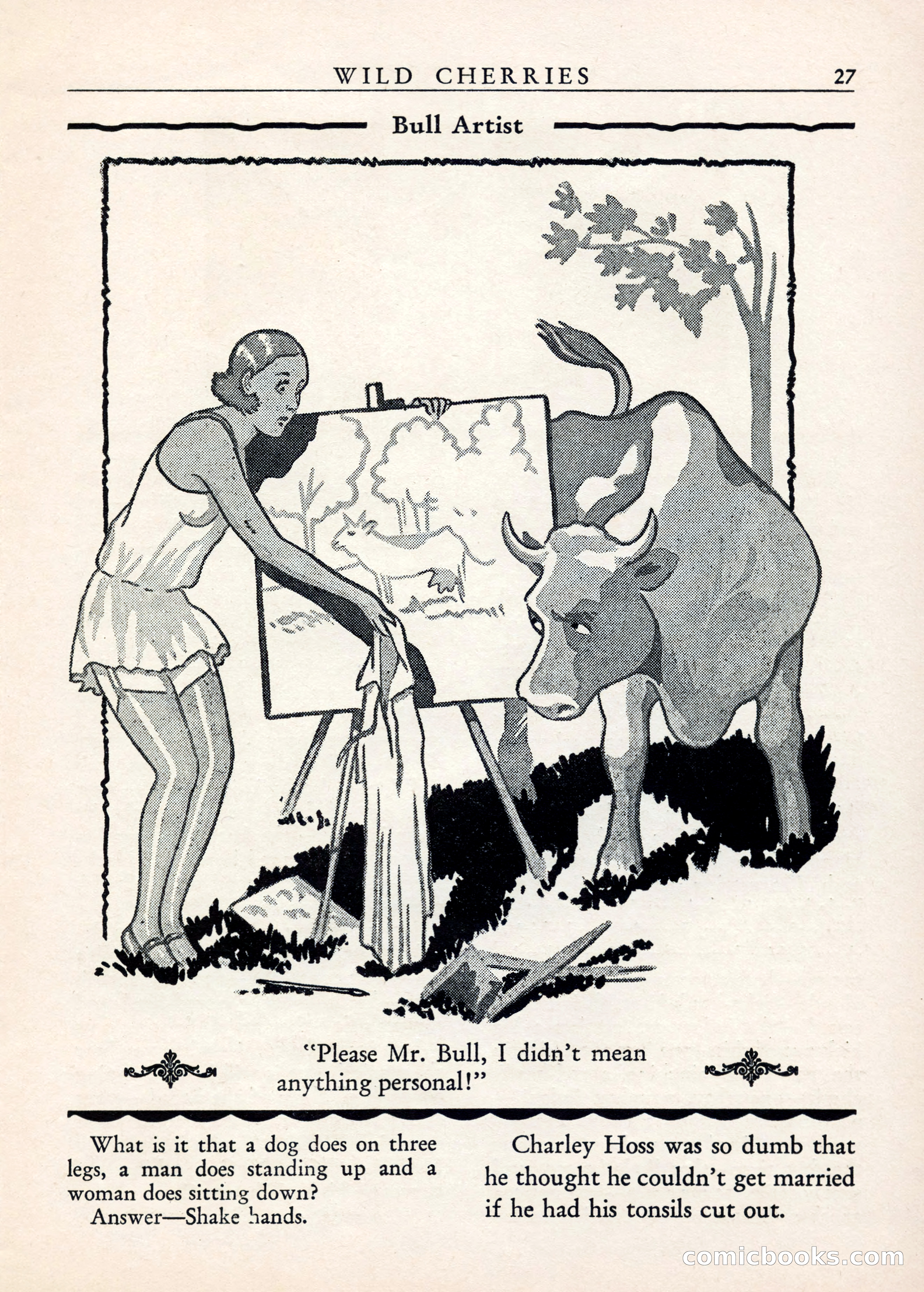 Wild Cherries, Vol. 1, No. 3 — page 29 of 68