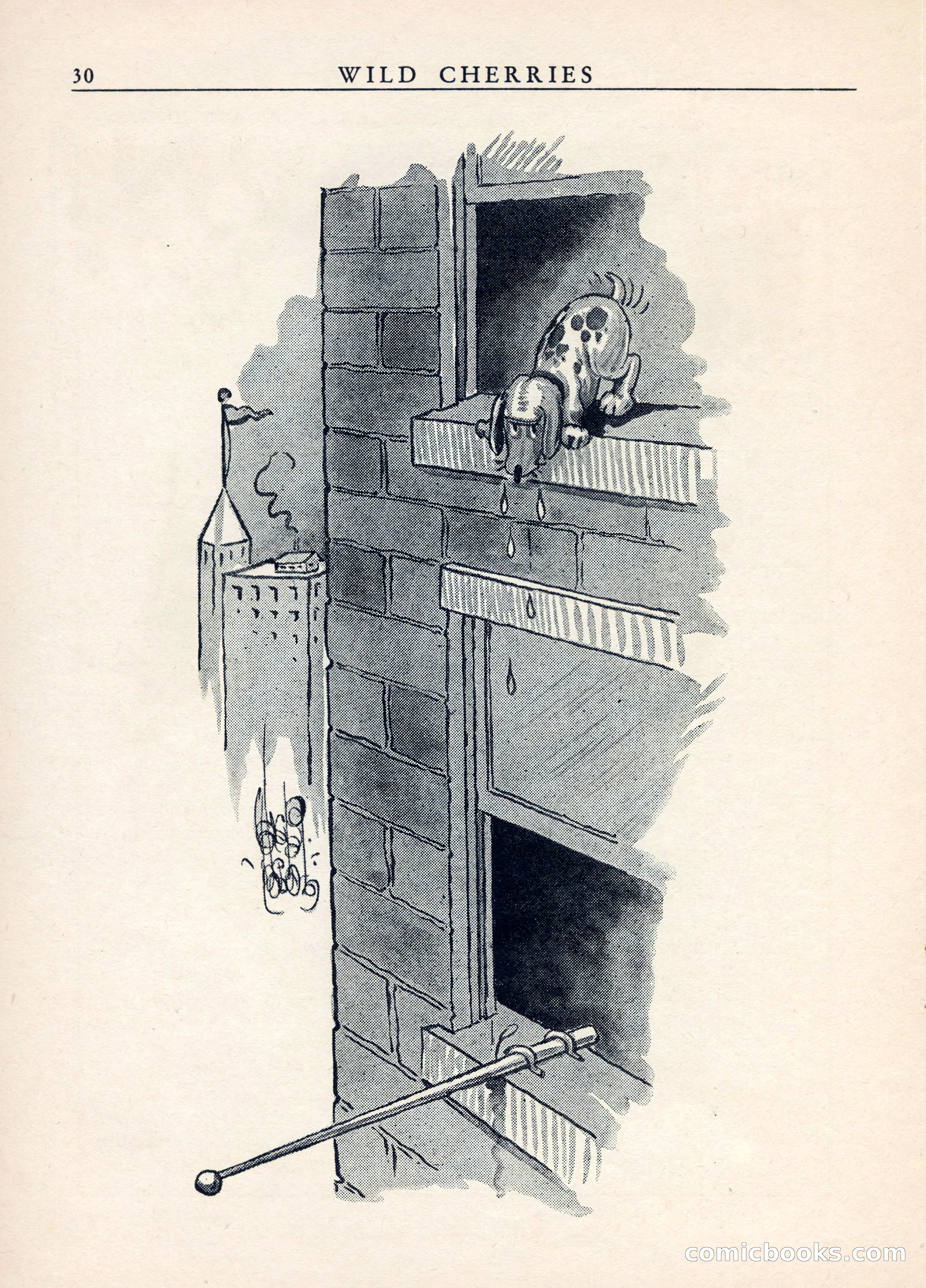 Wild Cherries, Vol. 1, No. 3 — page 32 of 68