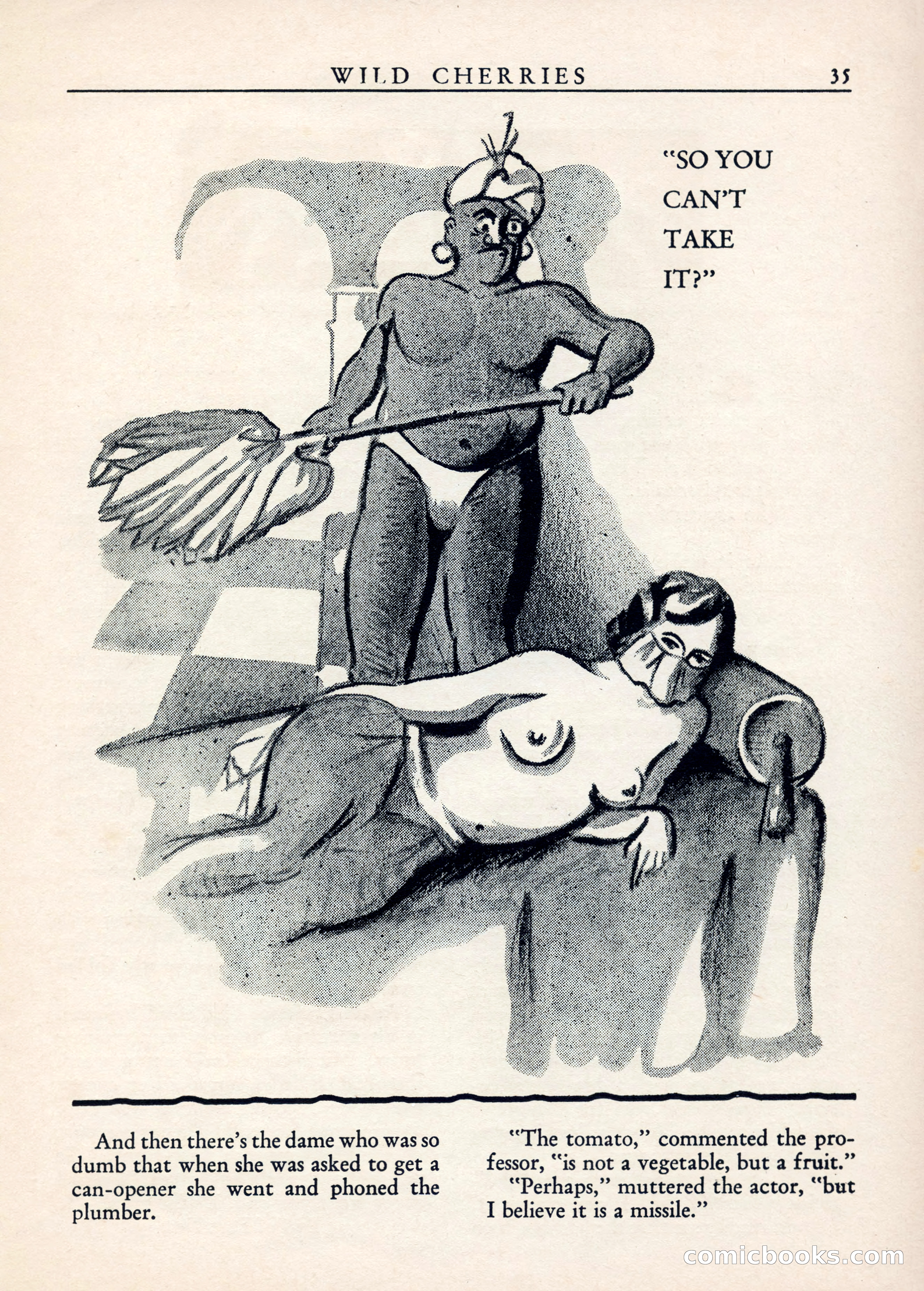 Wild Cherries, Vol. 1, No. 3 — page 37 of 68