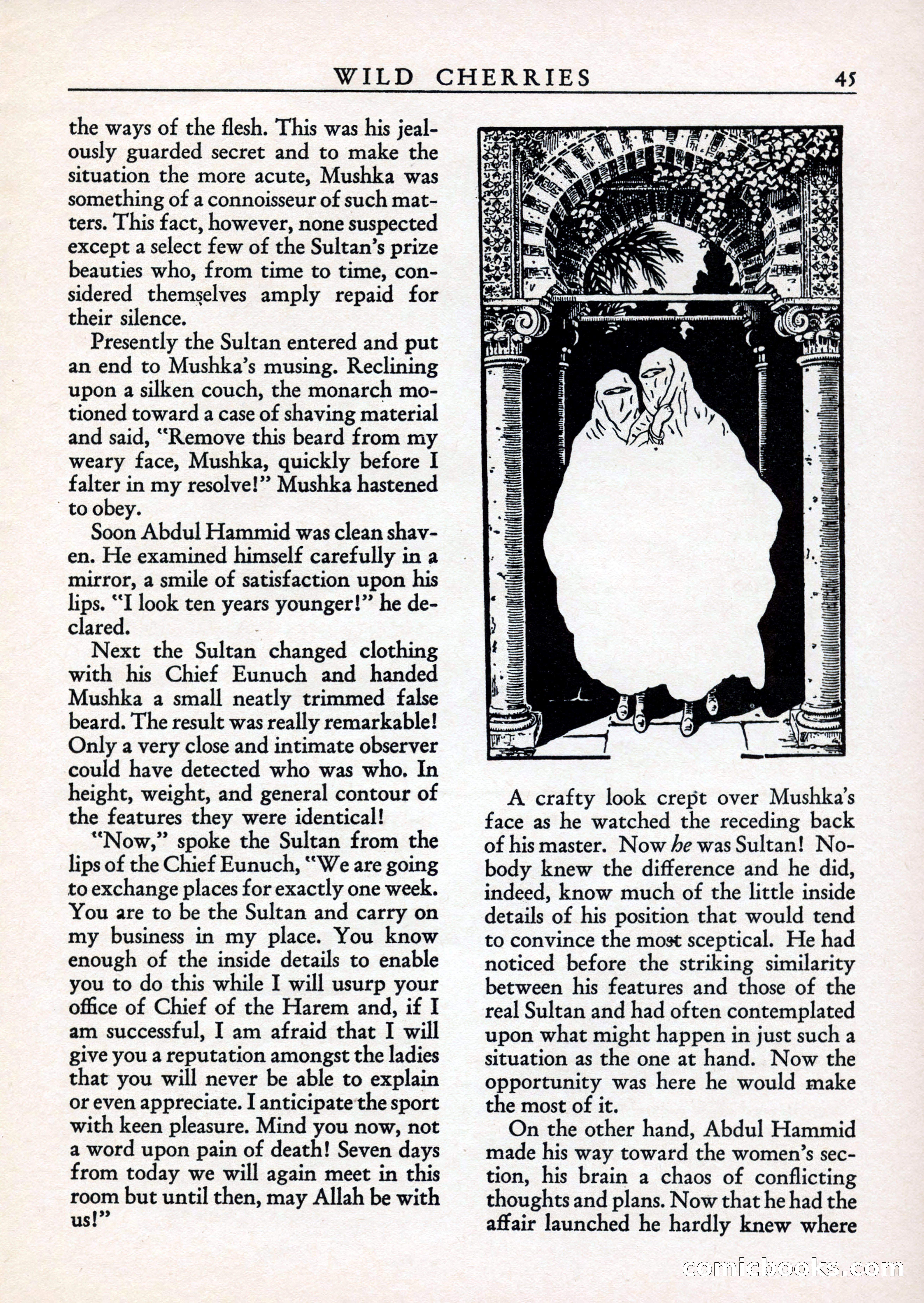 Wild Cherries, Vol. 1, No. 3 — page 47 of 68