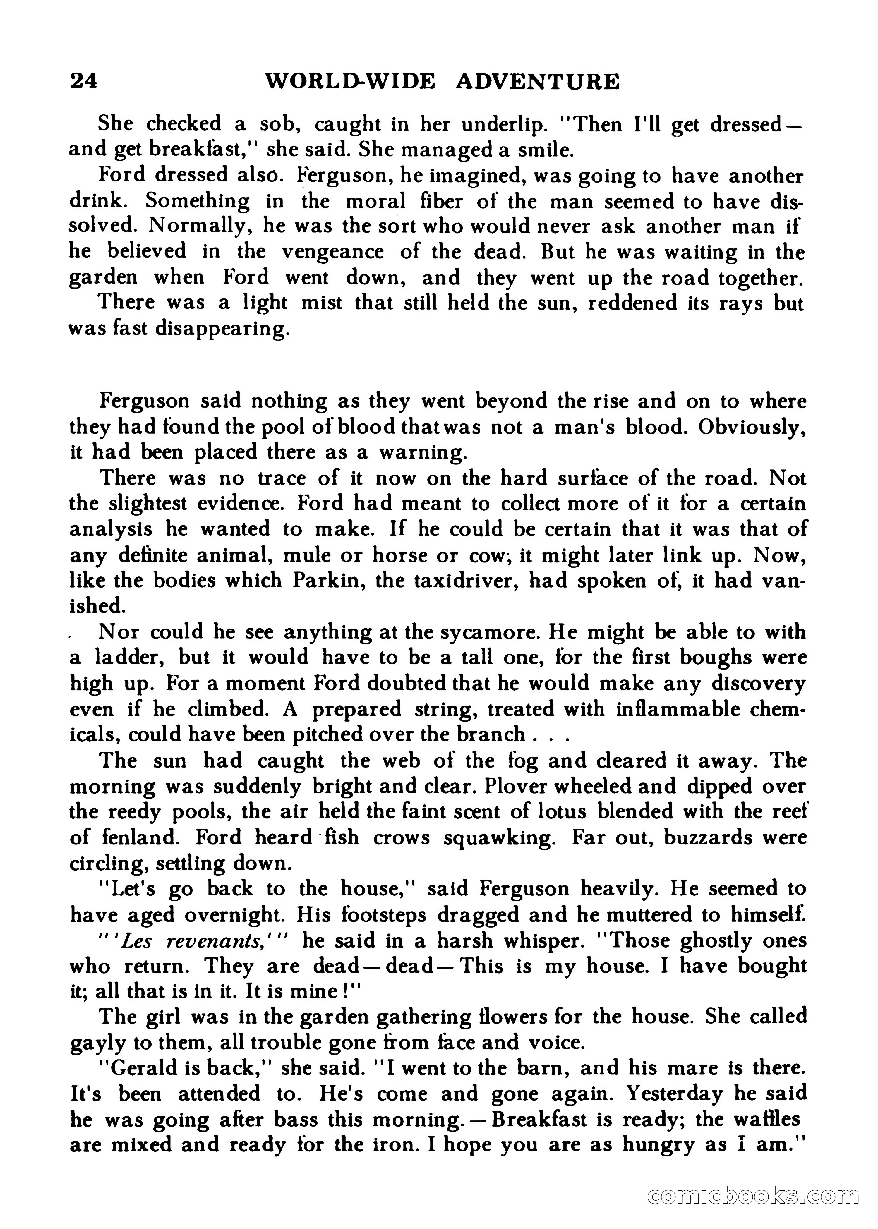 World Wide Adventure No. 7 — page 24 of 132