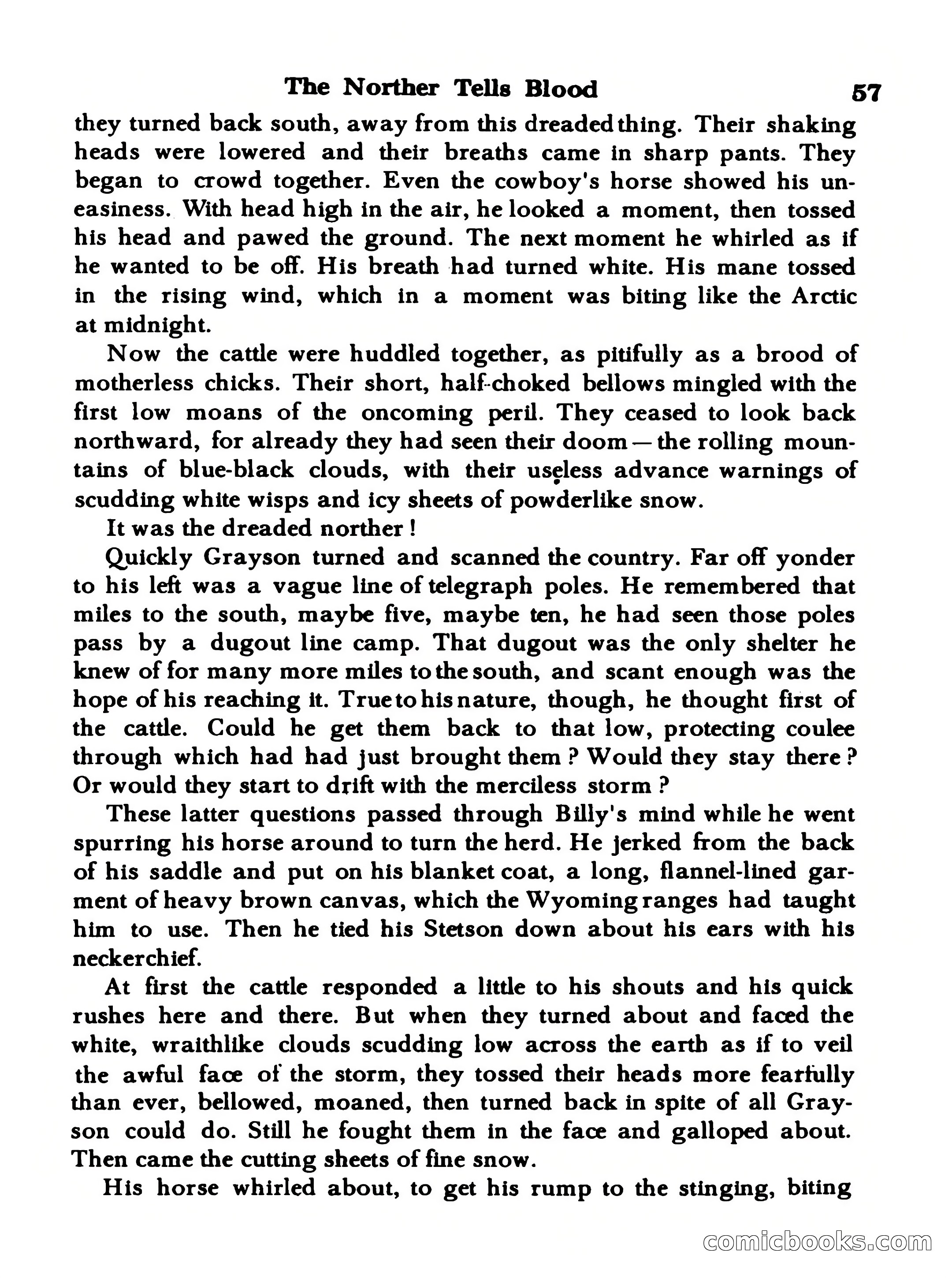 World Wide Adventure #3 — page 57 of 132