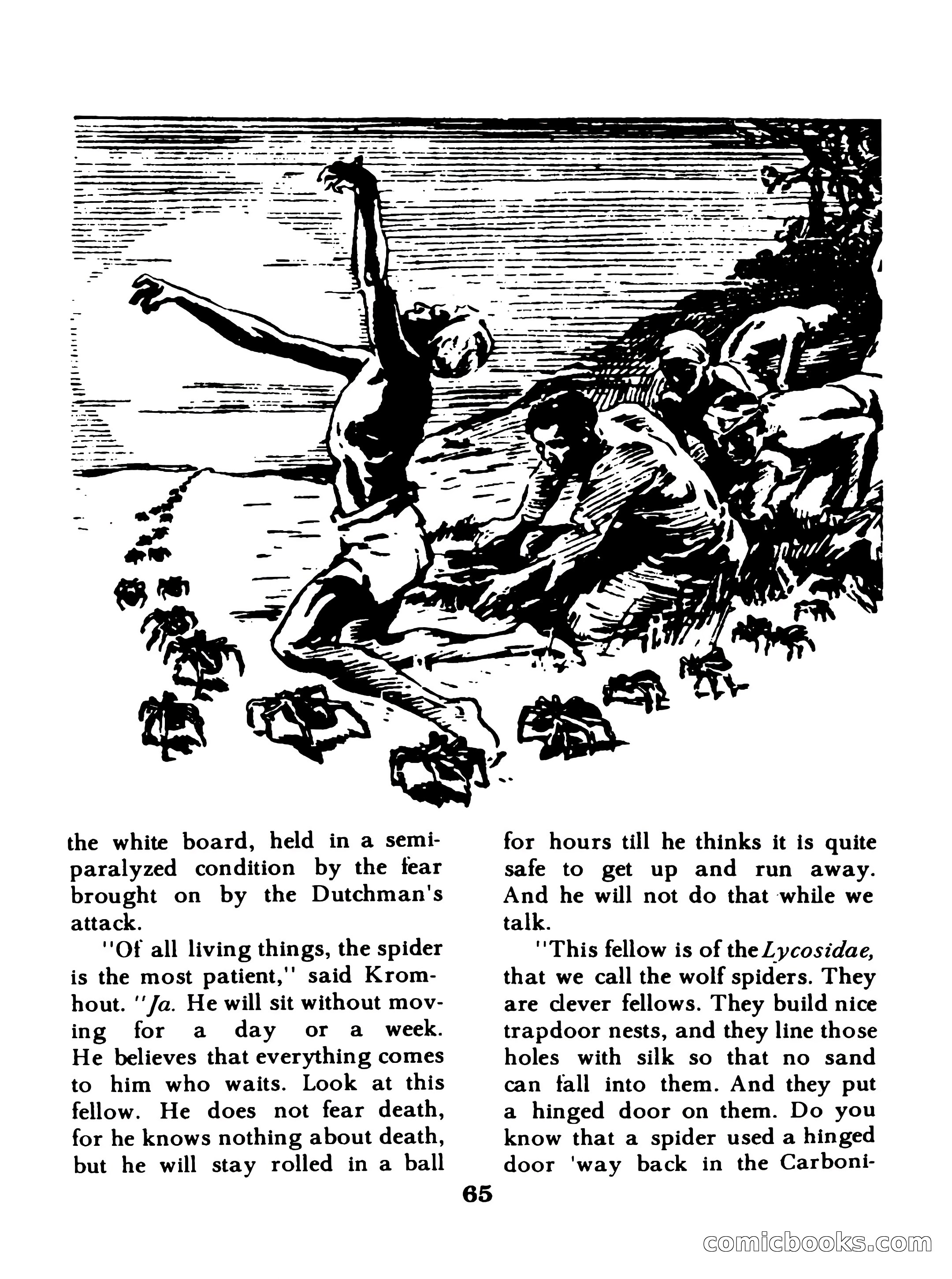 World Wide Adventure #3 — page 65 of 132