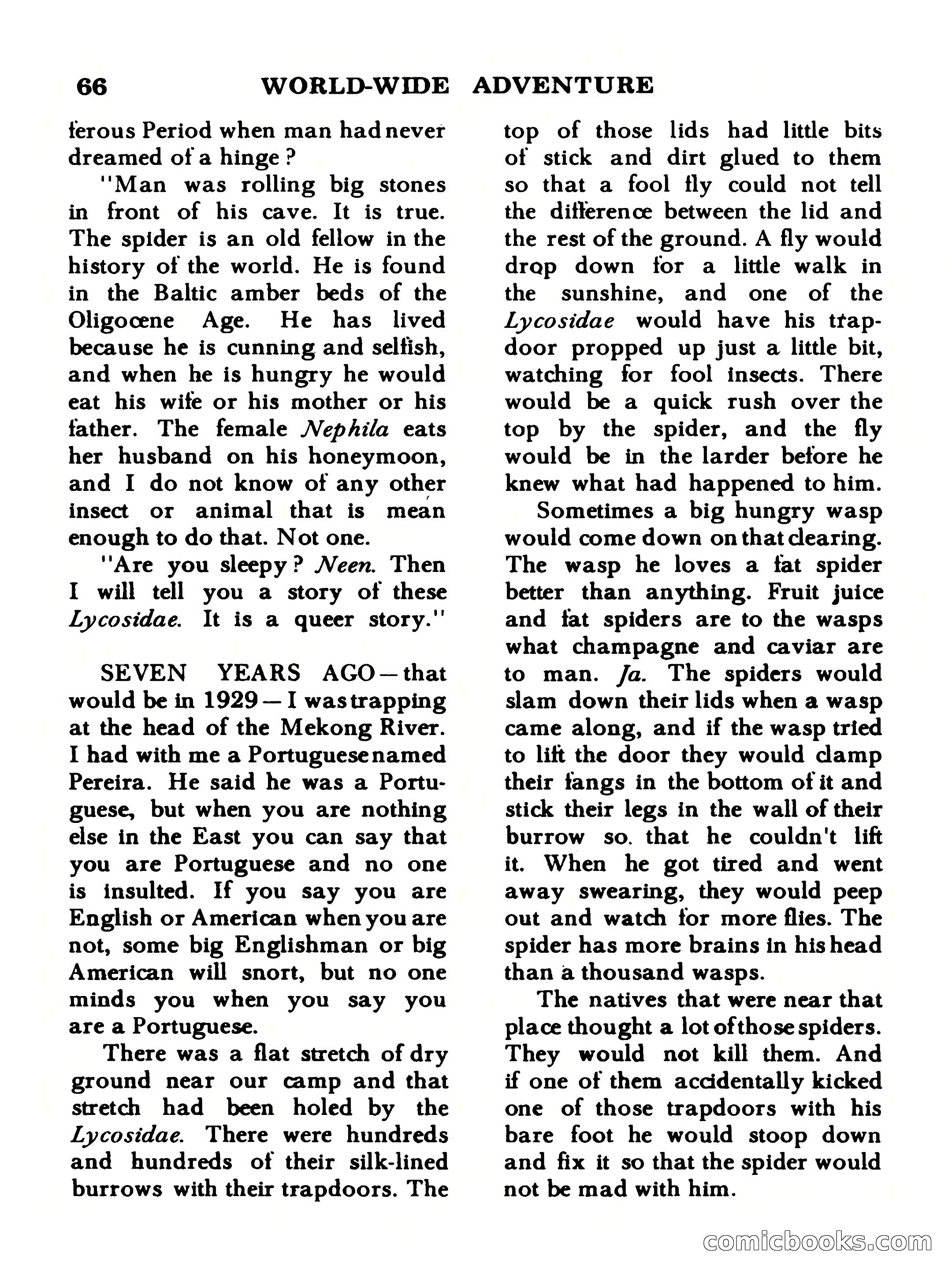 World Wide Adventure #3 — page 66 of 132