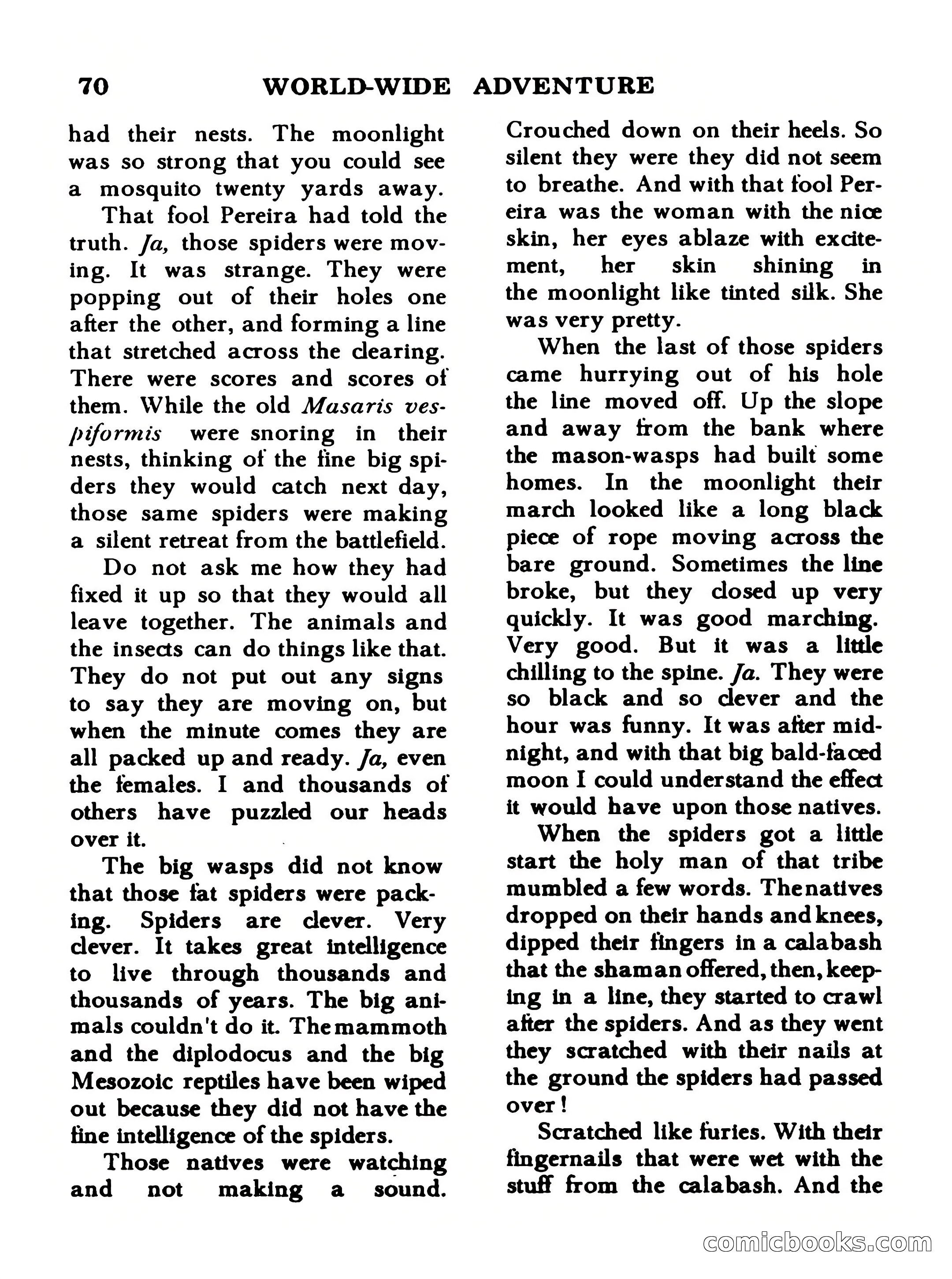 World Wide Adventure #3 — page 70 of 132