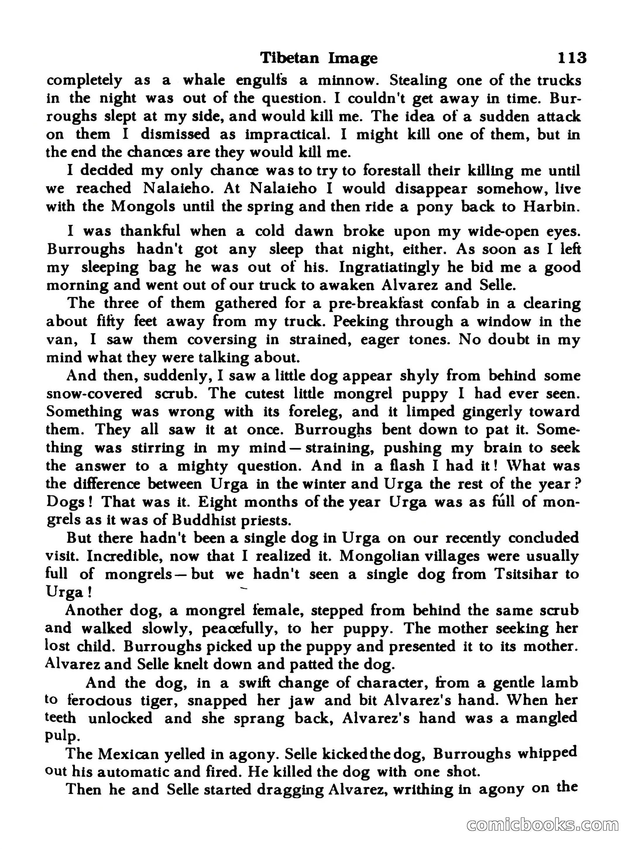 World Wide Adventure #3 — page 113 of 132
