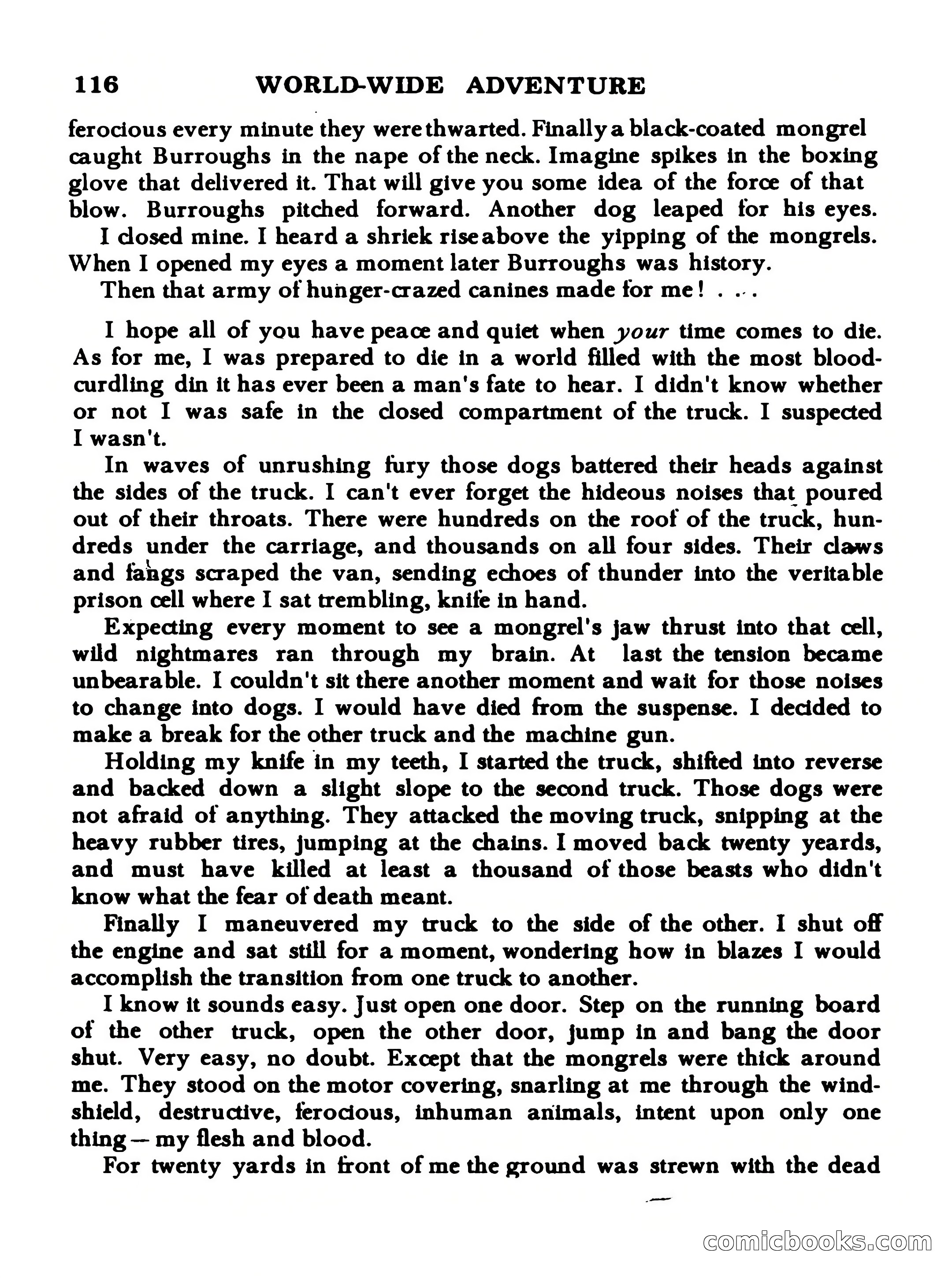 World Wide Adventure #3 — page 116 of 132