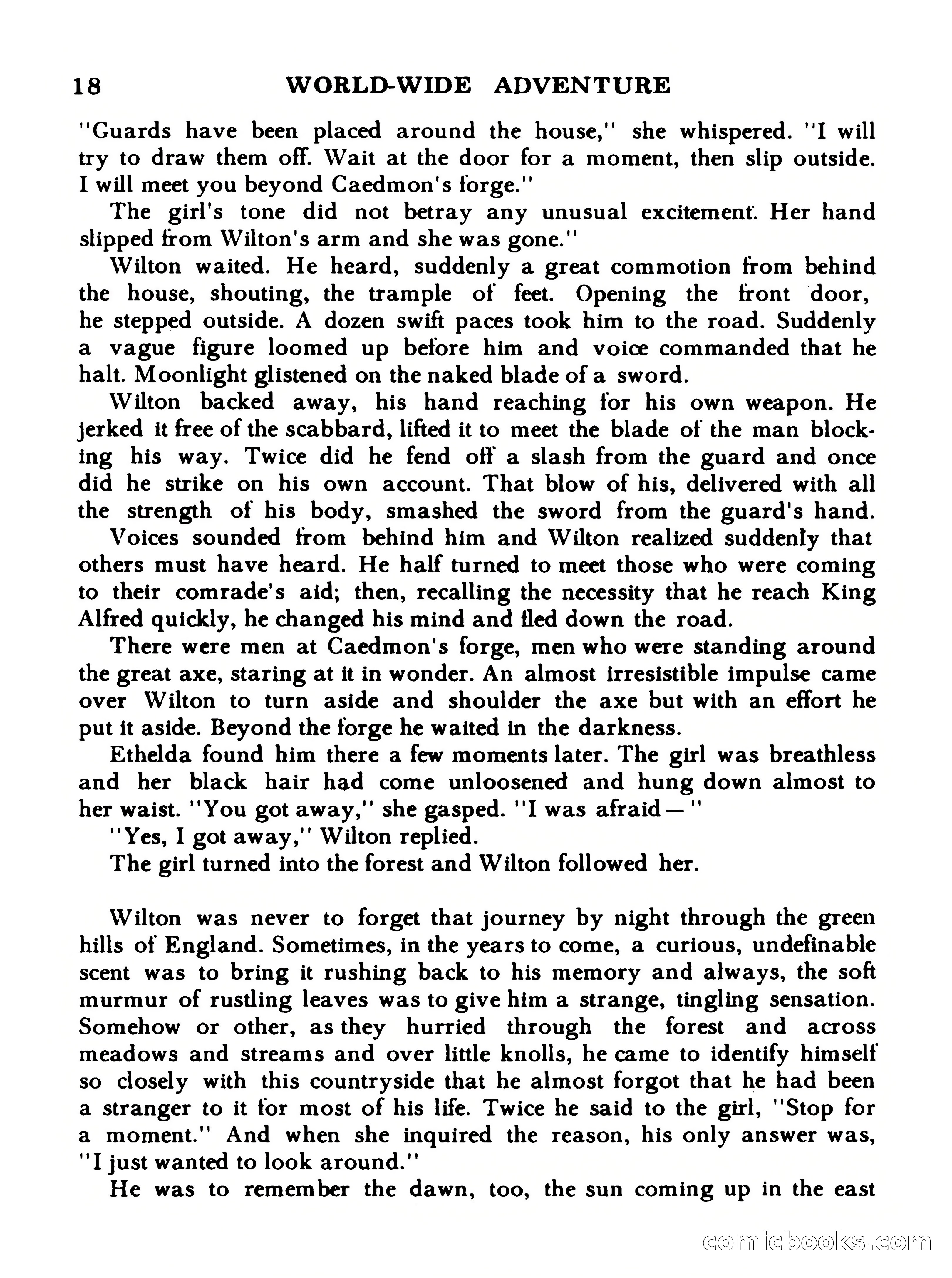World Wide Adventure No. 5 — page 18 of 132