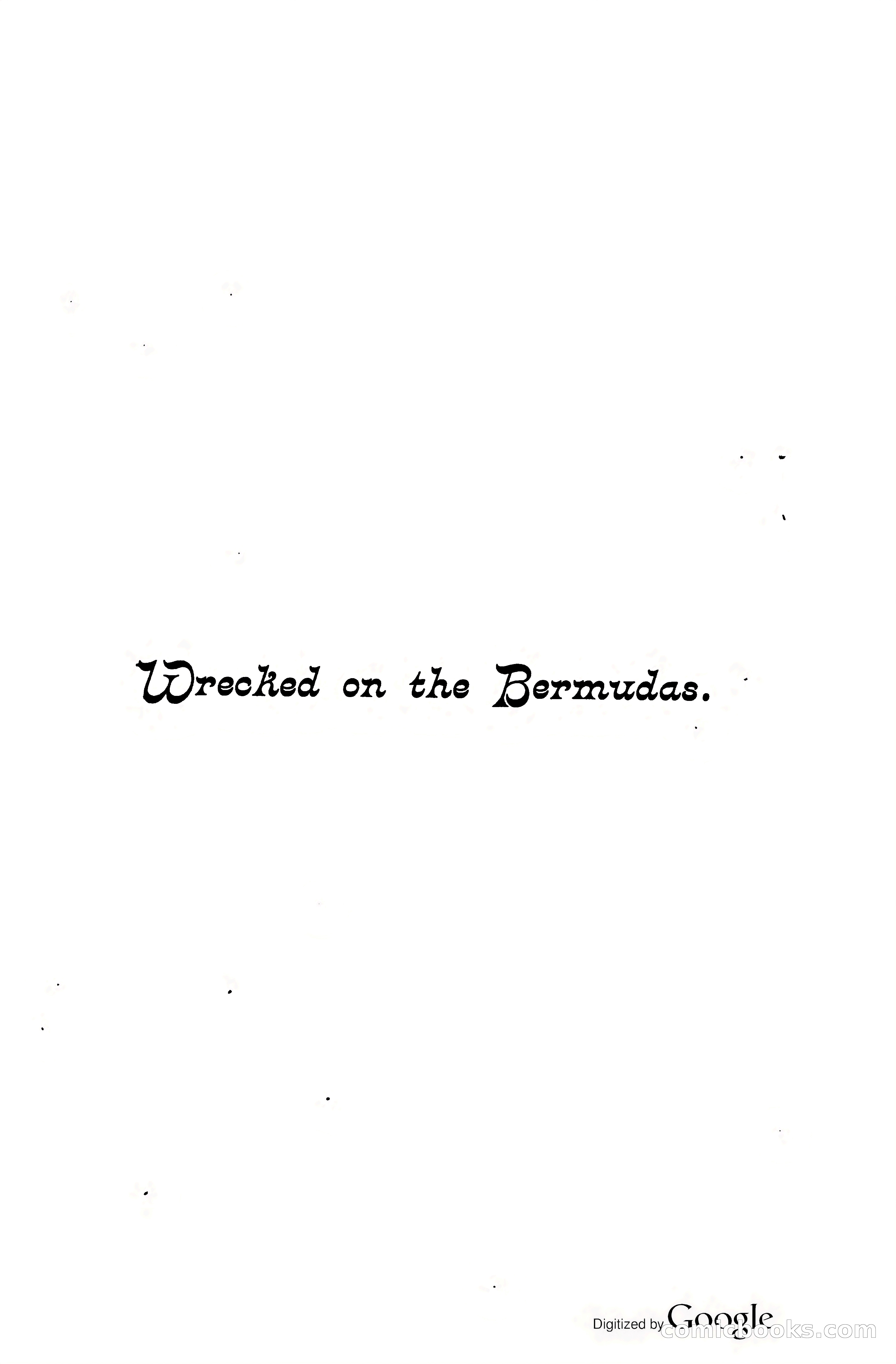 Wrecked On The Bermudas: The Thrilling Adventures Of Three Boys — page 8 of 344