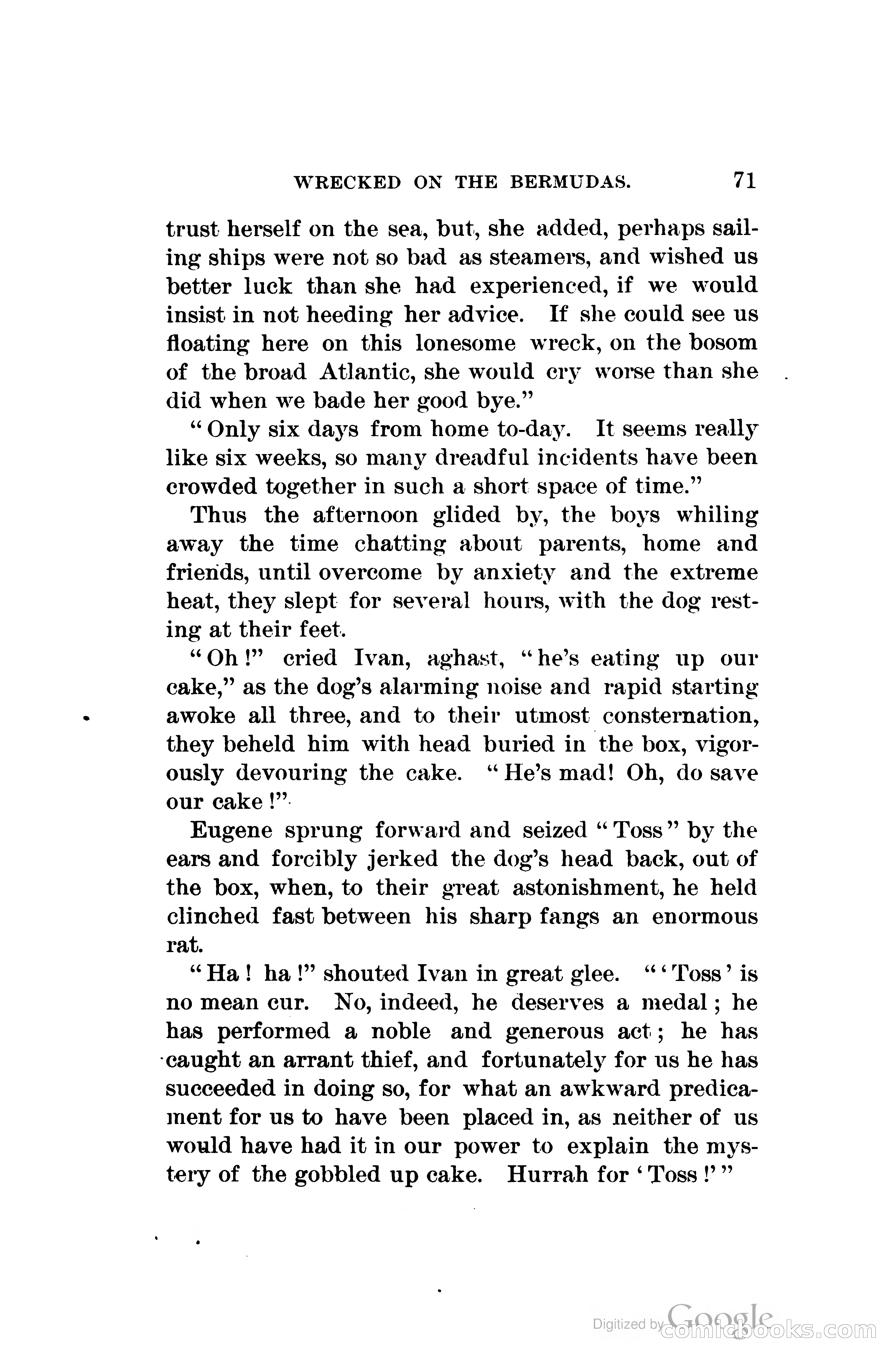 Wrecked On The Bermudas: The Thrilling Adventures Of Three Boys — page 102 of 344