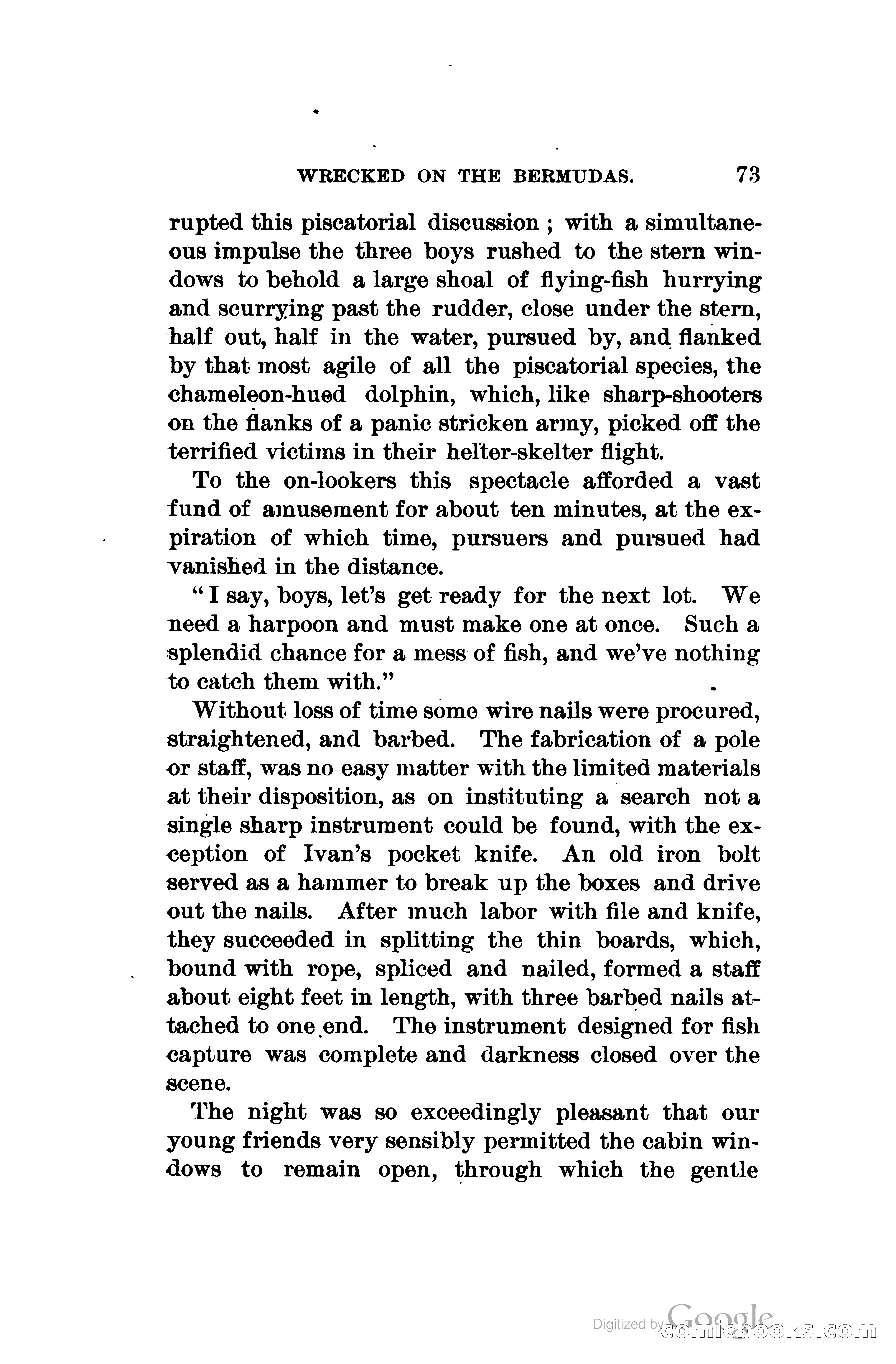 Wrecked On The Bermudas: The Thrilling Adventures Of Three Boys — page 106 of 344