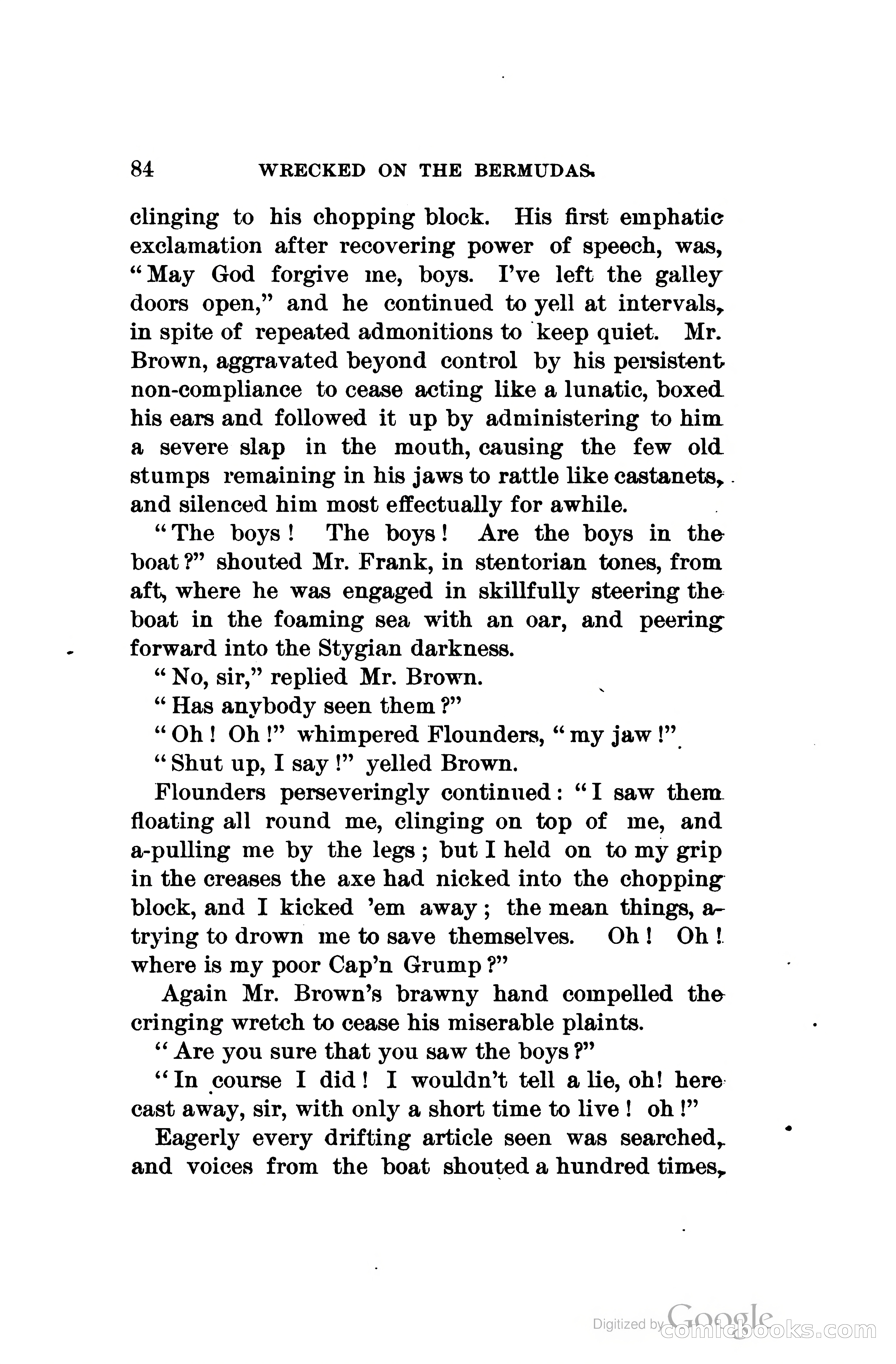 Wrecked On The Bermudas: The Thrilling Adventures Of Three Boys — page 117 of 344