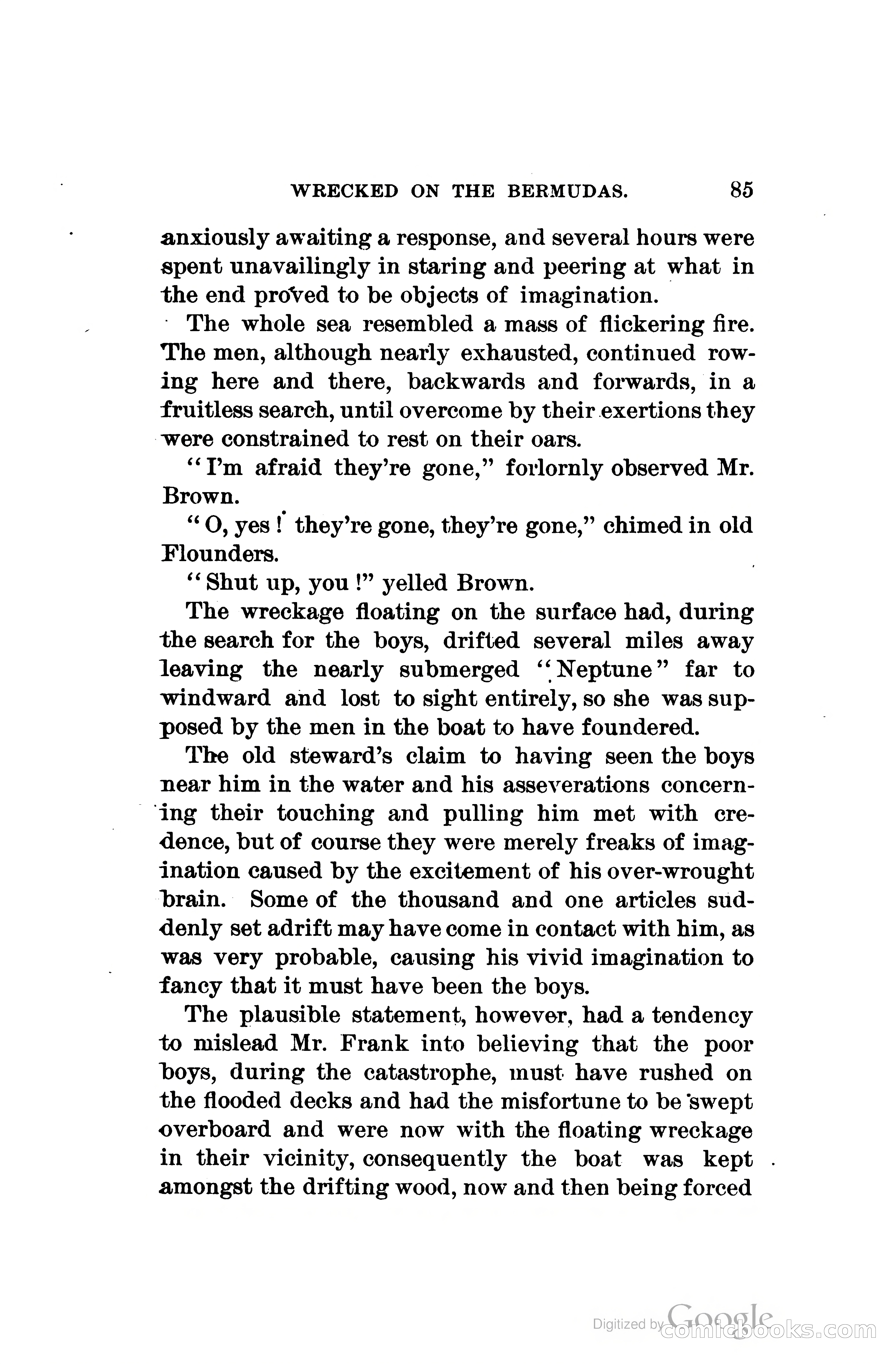 Wrecked On The Bermudas: The Thrilling Adventures Of Three Boys — page 118 of 344