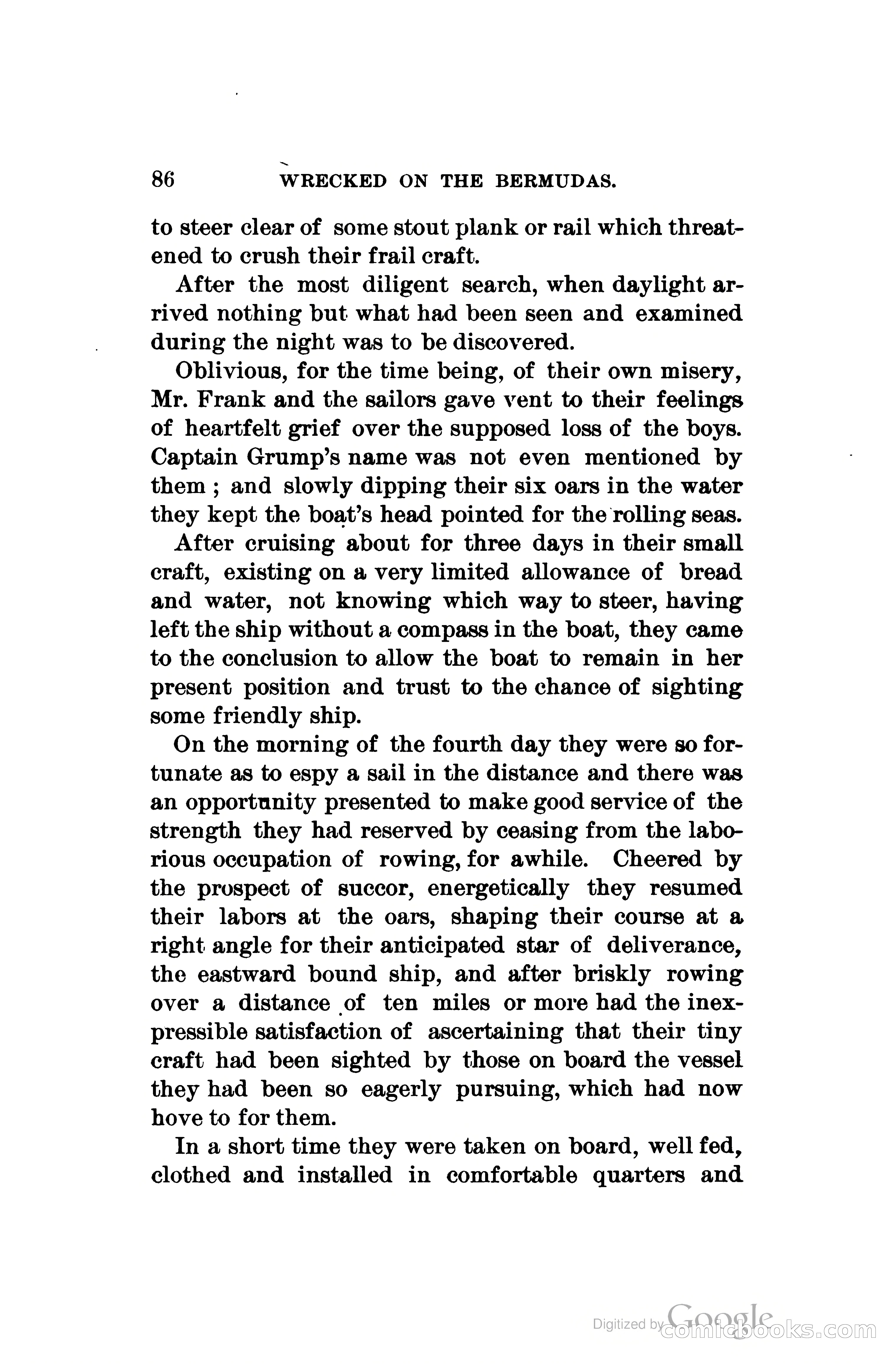 Wrecked On The Bermudas: The Thrilling Adventures Of Three Boys — page 119 of 344