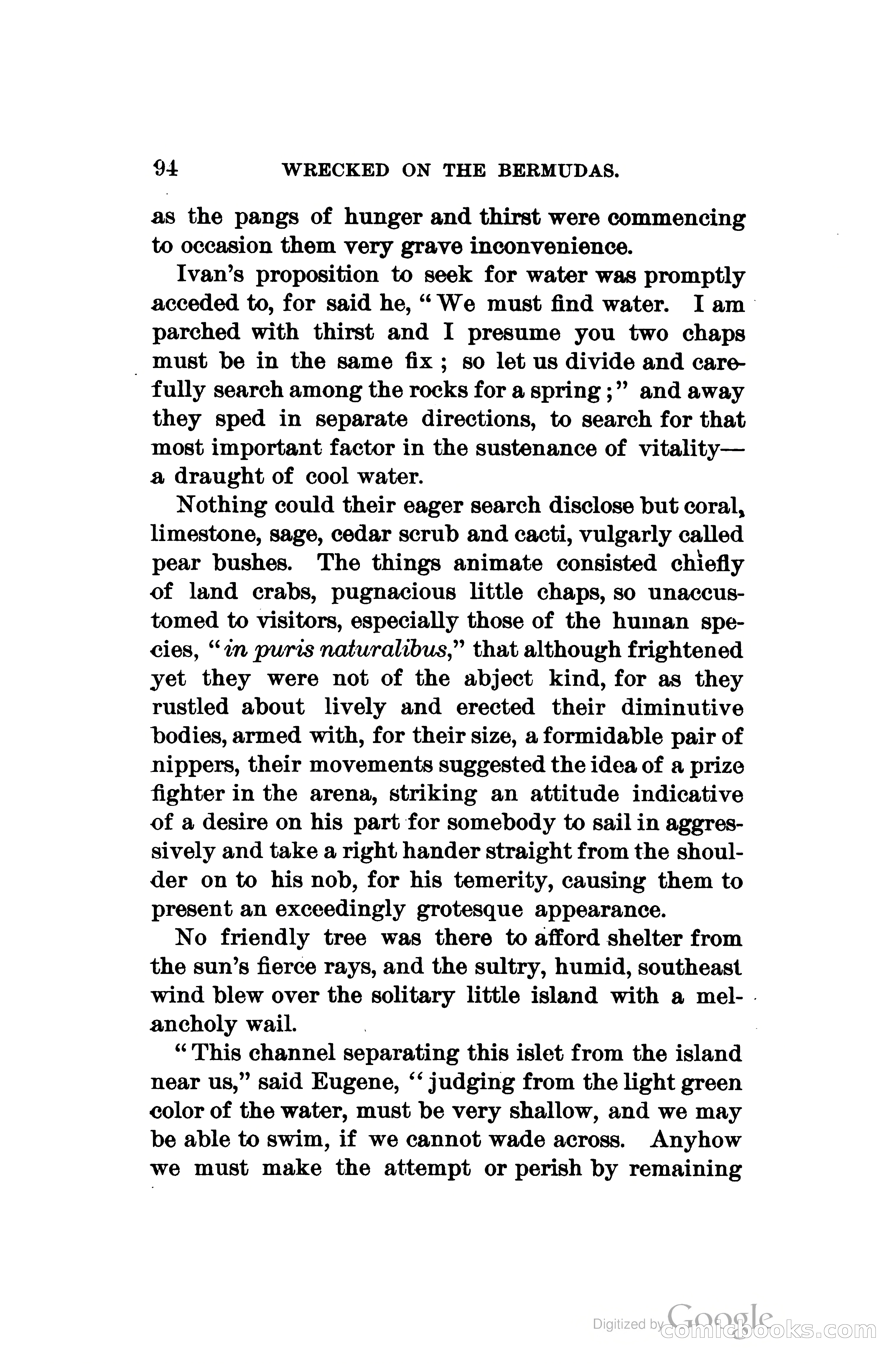 Wrecked On The Bermudas: The Thrilling Adventures Of Three Boys — page 129 of 344
