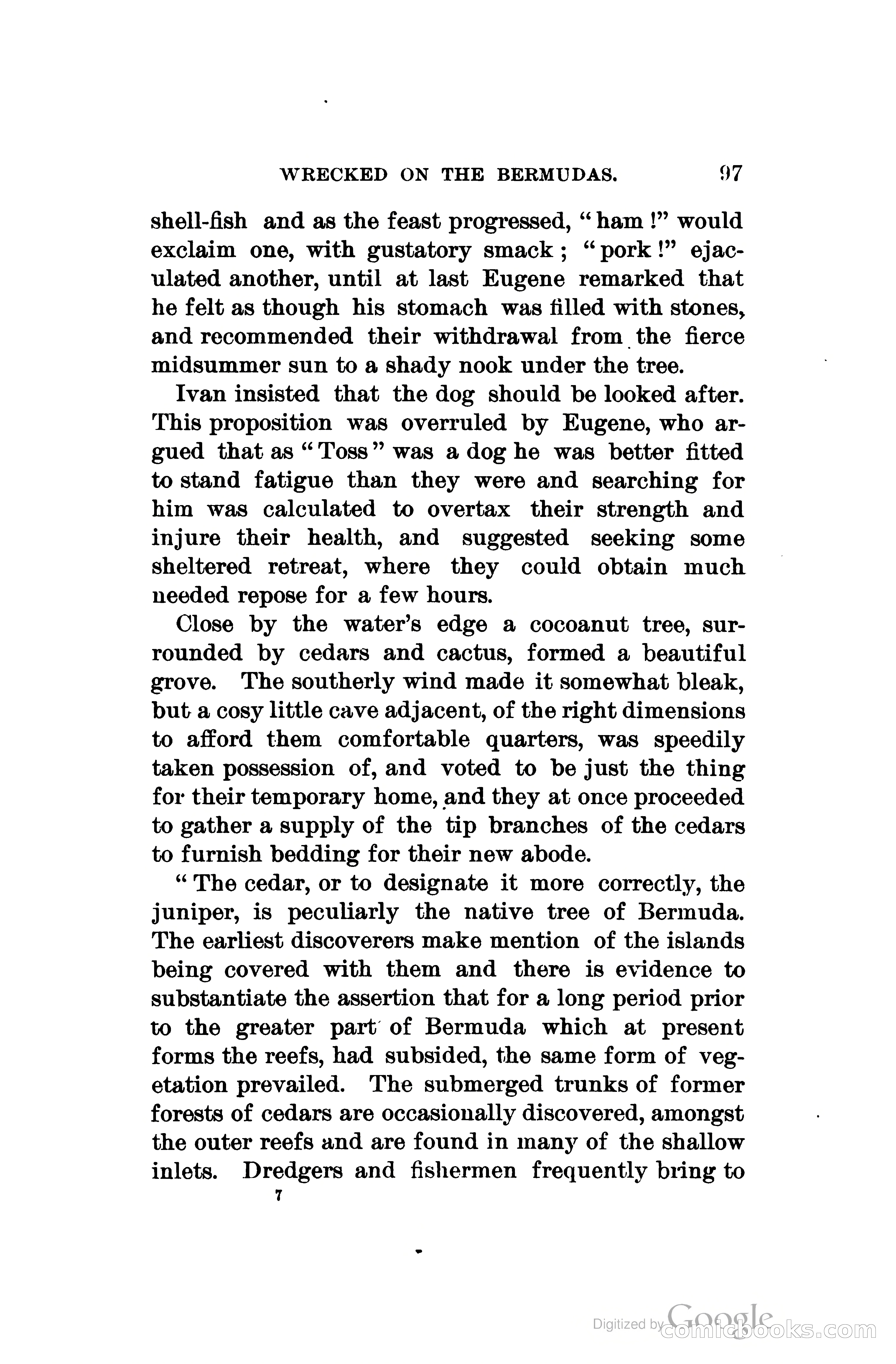 Wrecked On The Bermudas: The Thrilling Adventures Of Three Boys — page 132 of 344