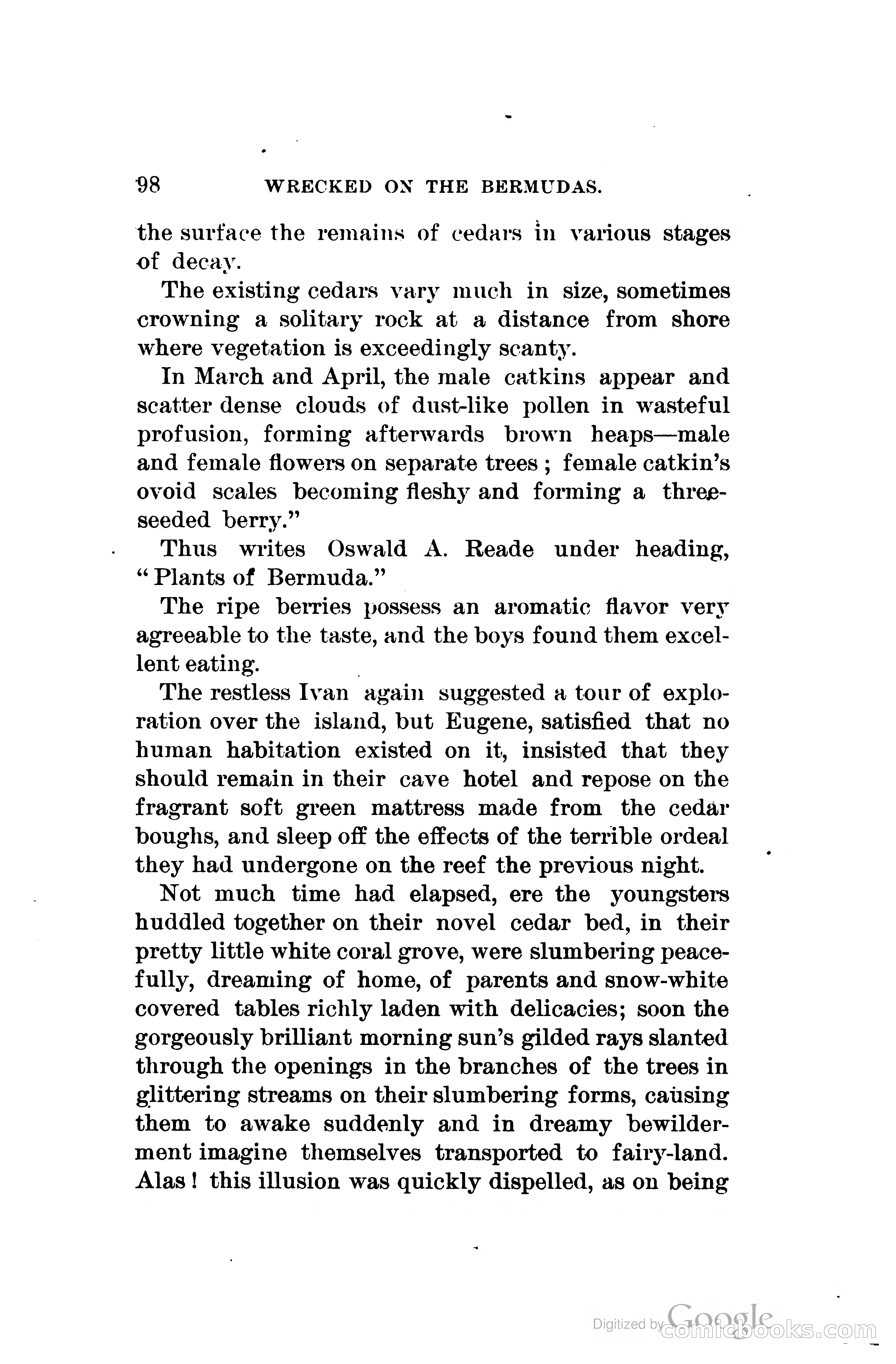 Wrecked On The Bermudas: The Thrilling Adventures Of Three Boys — page 133 of 344