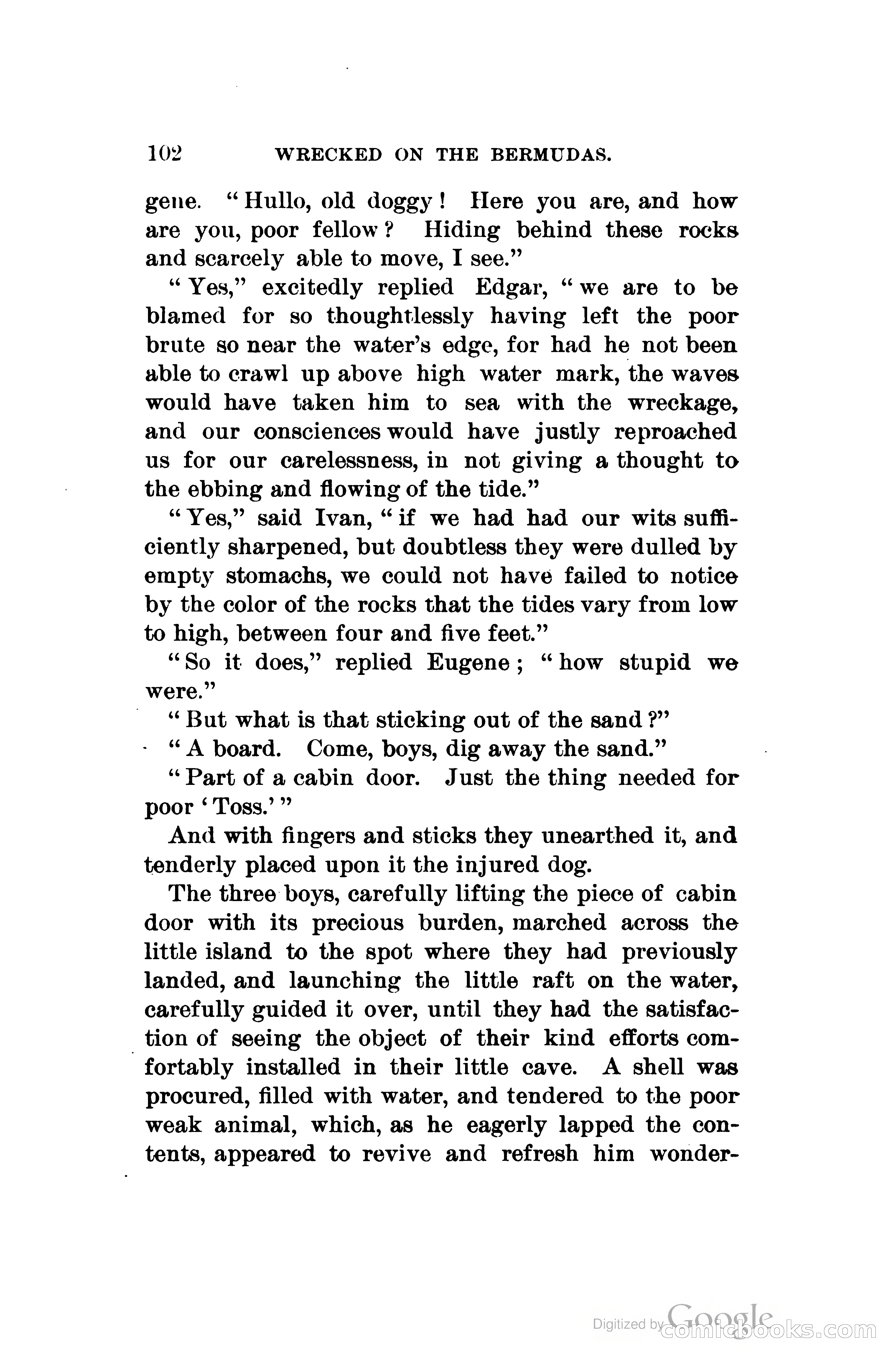 Wrecked On The Bermudas: The Thrilling Adventures Of Three Boys — page 137 of 344