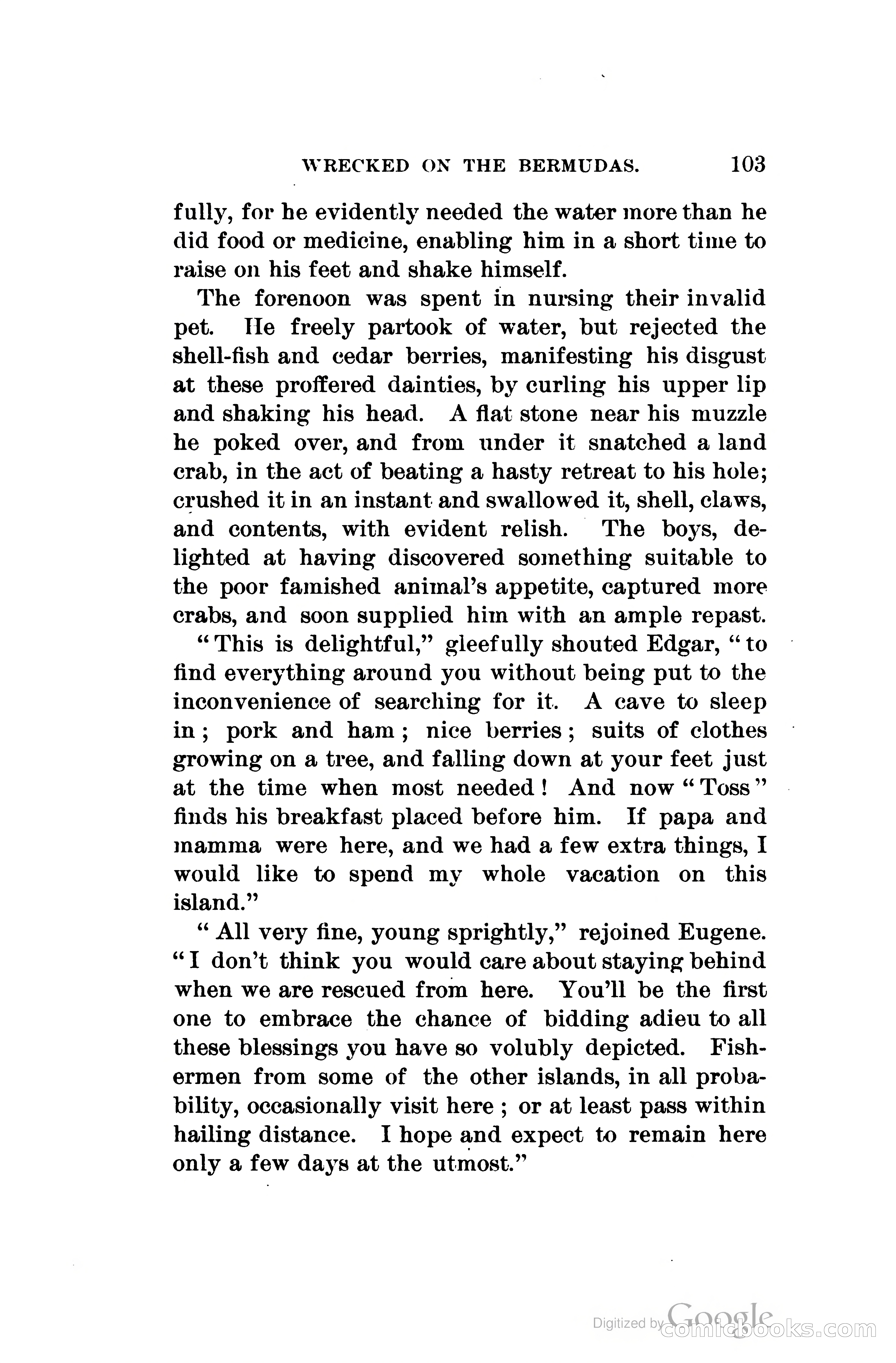 Wrecked On The Bermudas: The Thrilling Adventures Of Three Boys — page 138 of 344