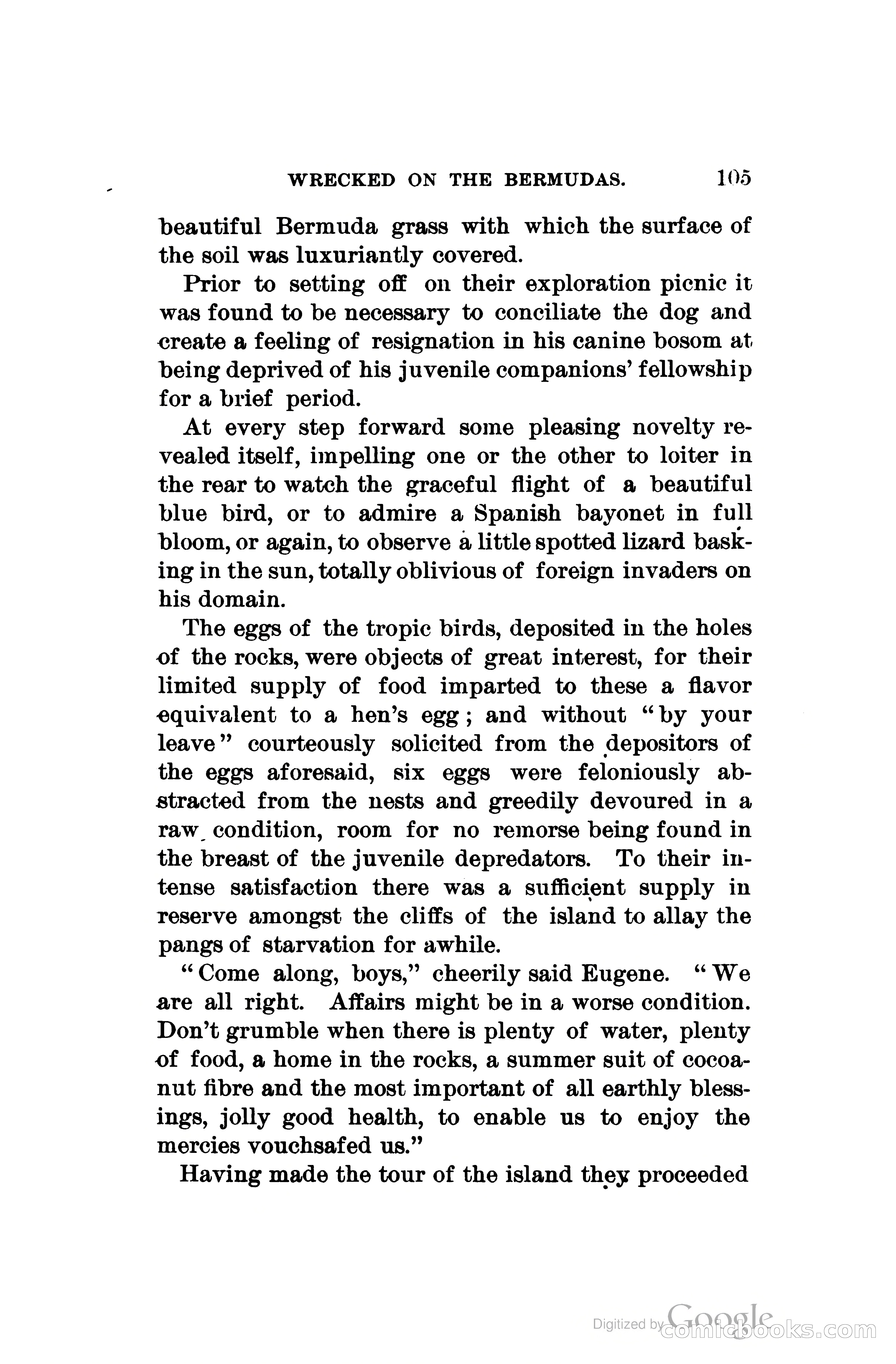 Wrecked On The Bermudas: The Thrilling Adventures Of Three Boys — page 140 of 344