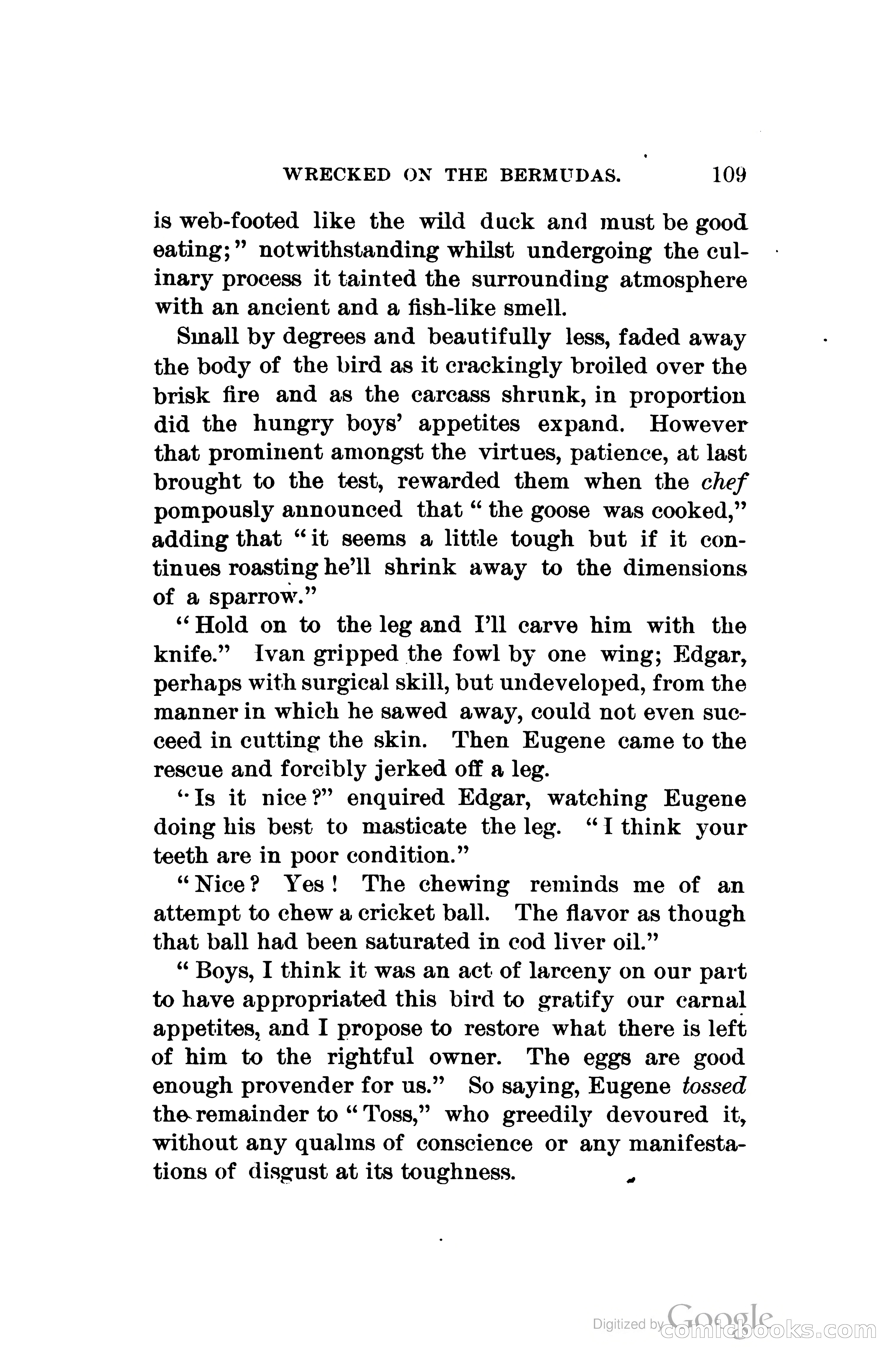 Wrecked On The Bermudas: The Thrilling Adventures Of Three Boys — page 146 of 344
