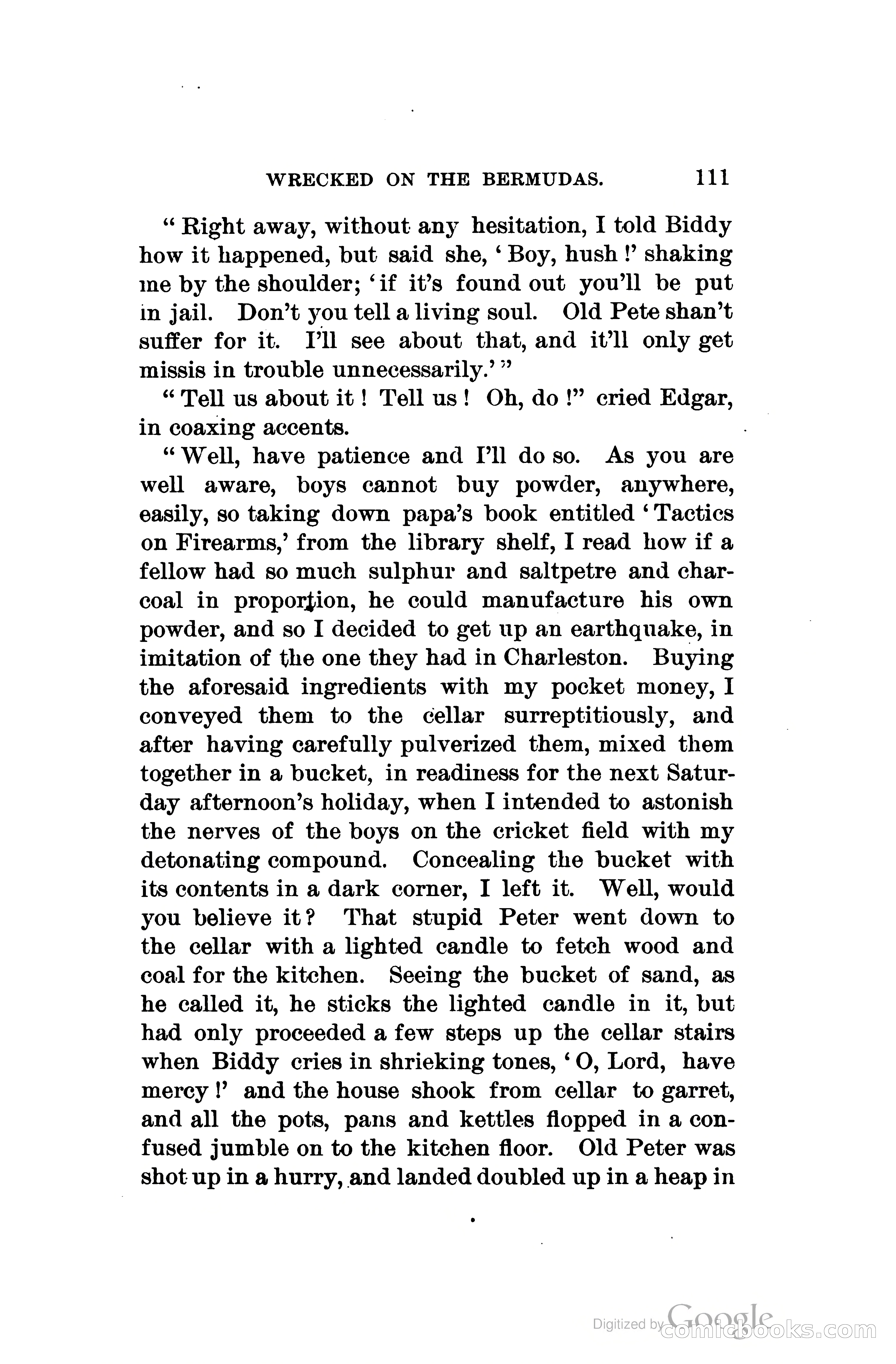Wrecked On The Bermudas: The Thrilling Adventures Of Three Boys — page 148 of 344