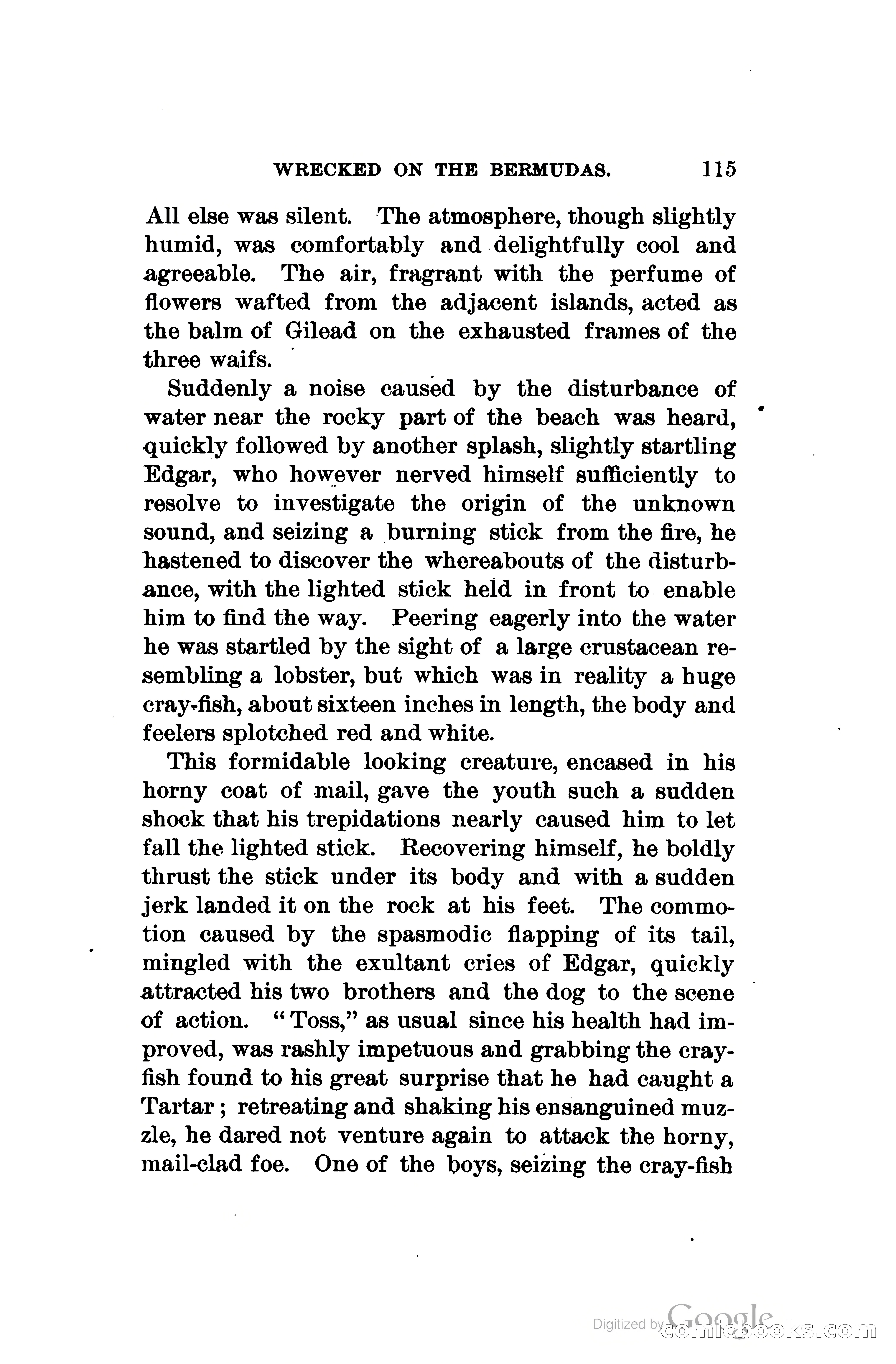 Wrecked On The Bermudas: The Thrilling Adventures Of Three Boys — page 152 of 344