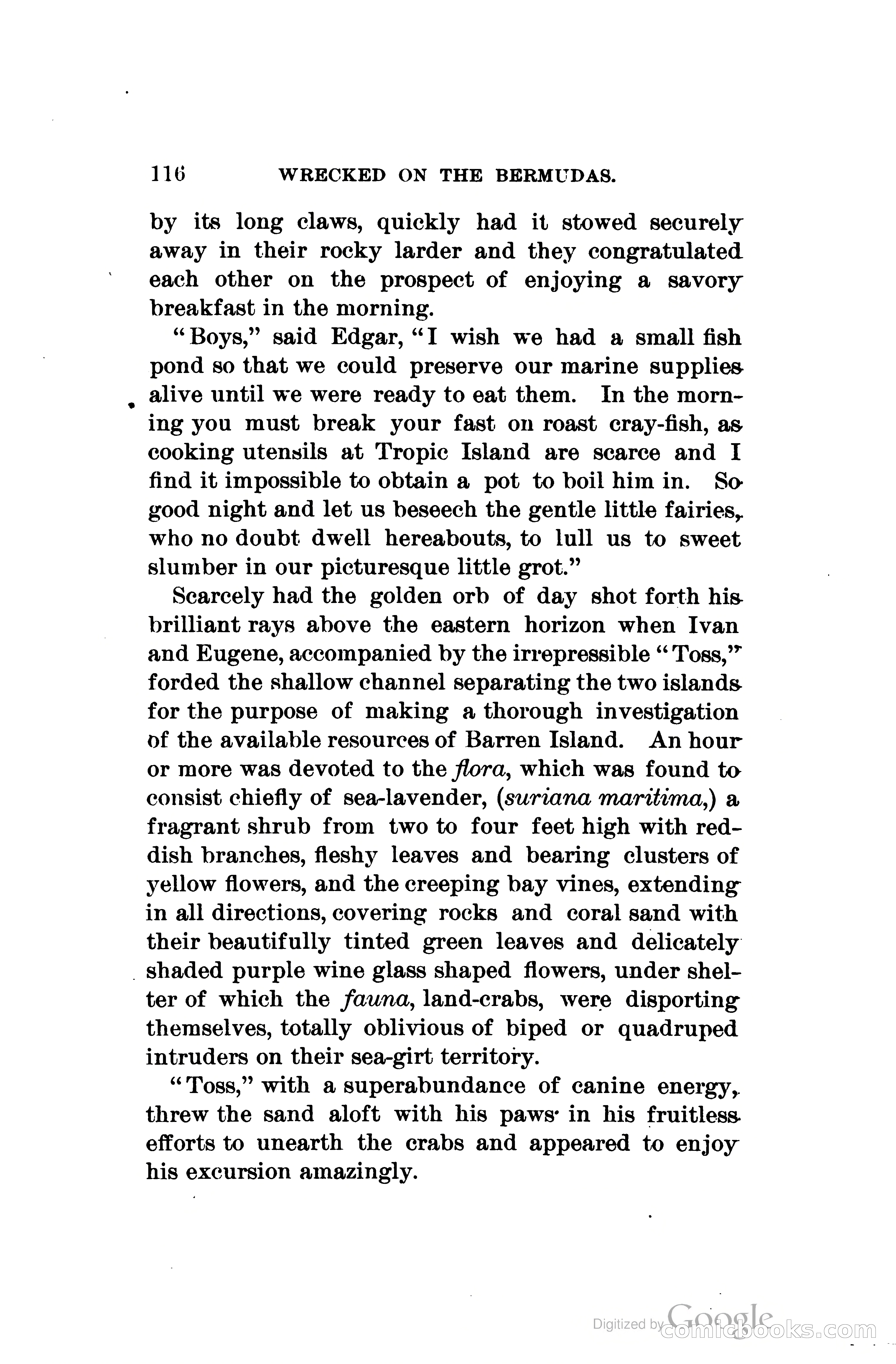 Wrecked On The Bermudas: The Thrilling Adventures Of Three Boys — page 153 of 344