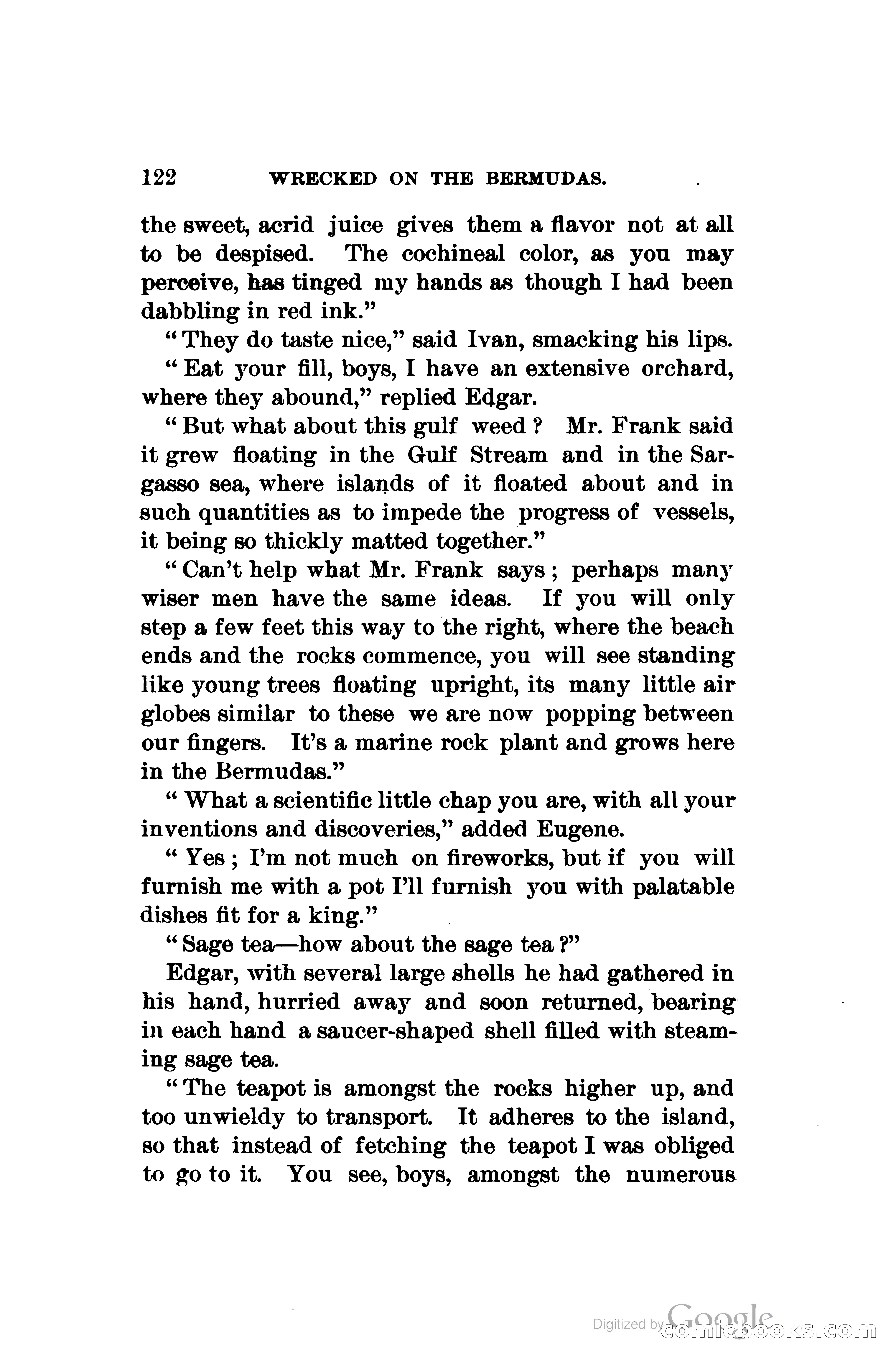 Wrecked On The Bermudas: The Thrilling Adventures Of Three Boys — page 159 of 344