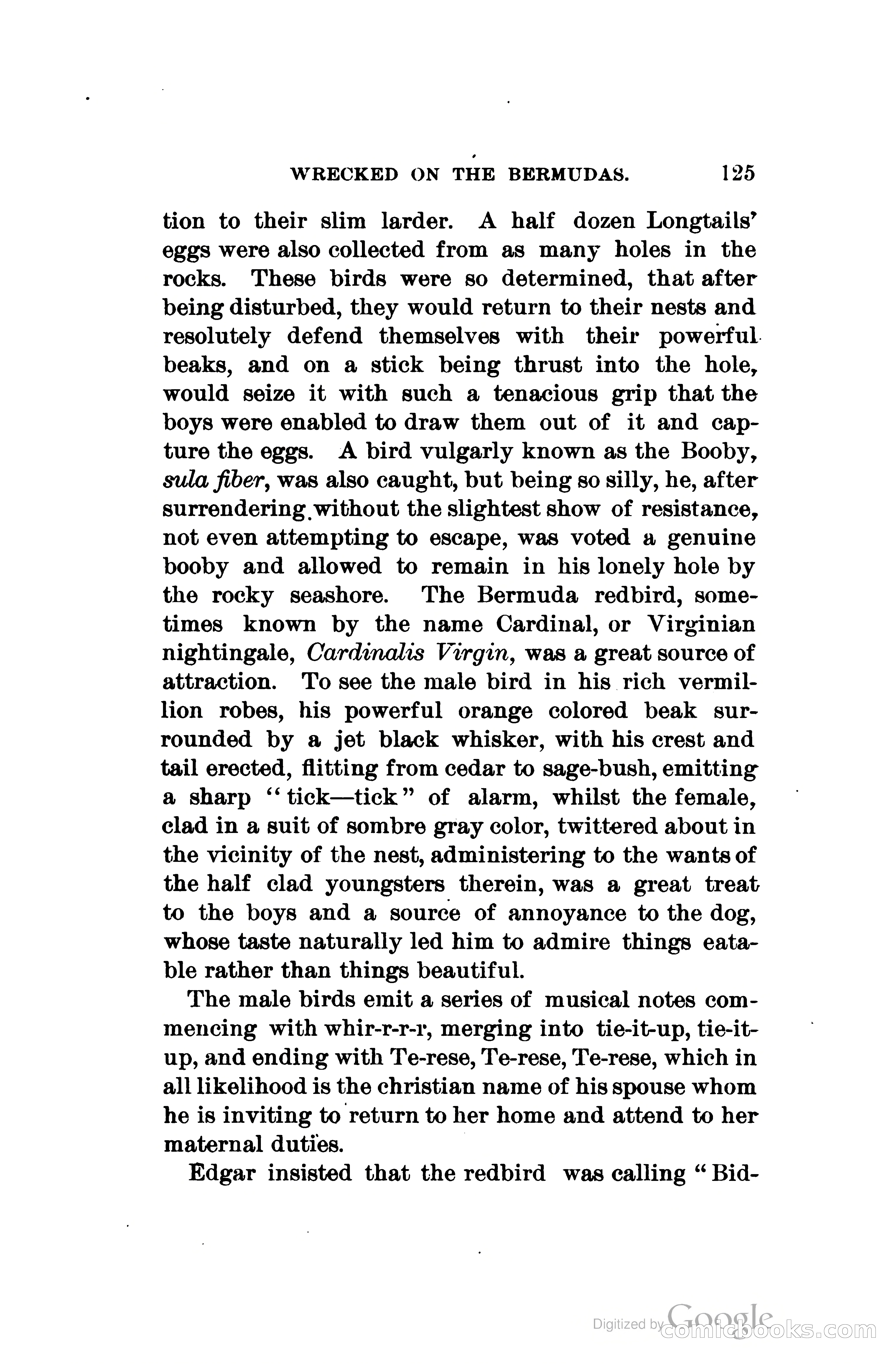 Wrecked On The Bermudas: The Thrilling Adventures Of Three Boys — page 162 of 344
