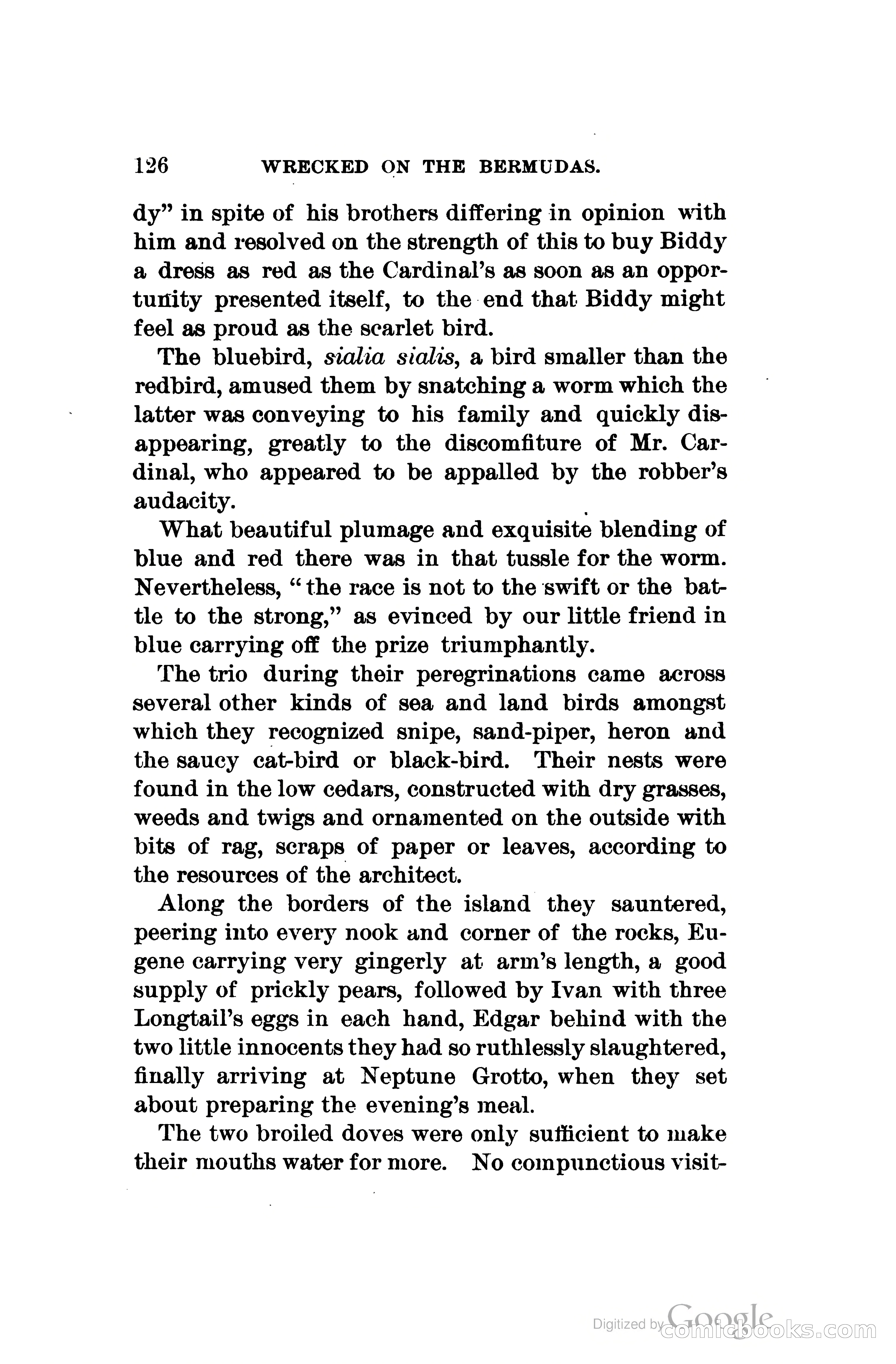Wrecked On The Bermudas: The Thrilling Adventures Of Three Boys — page 163 of 344