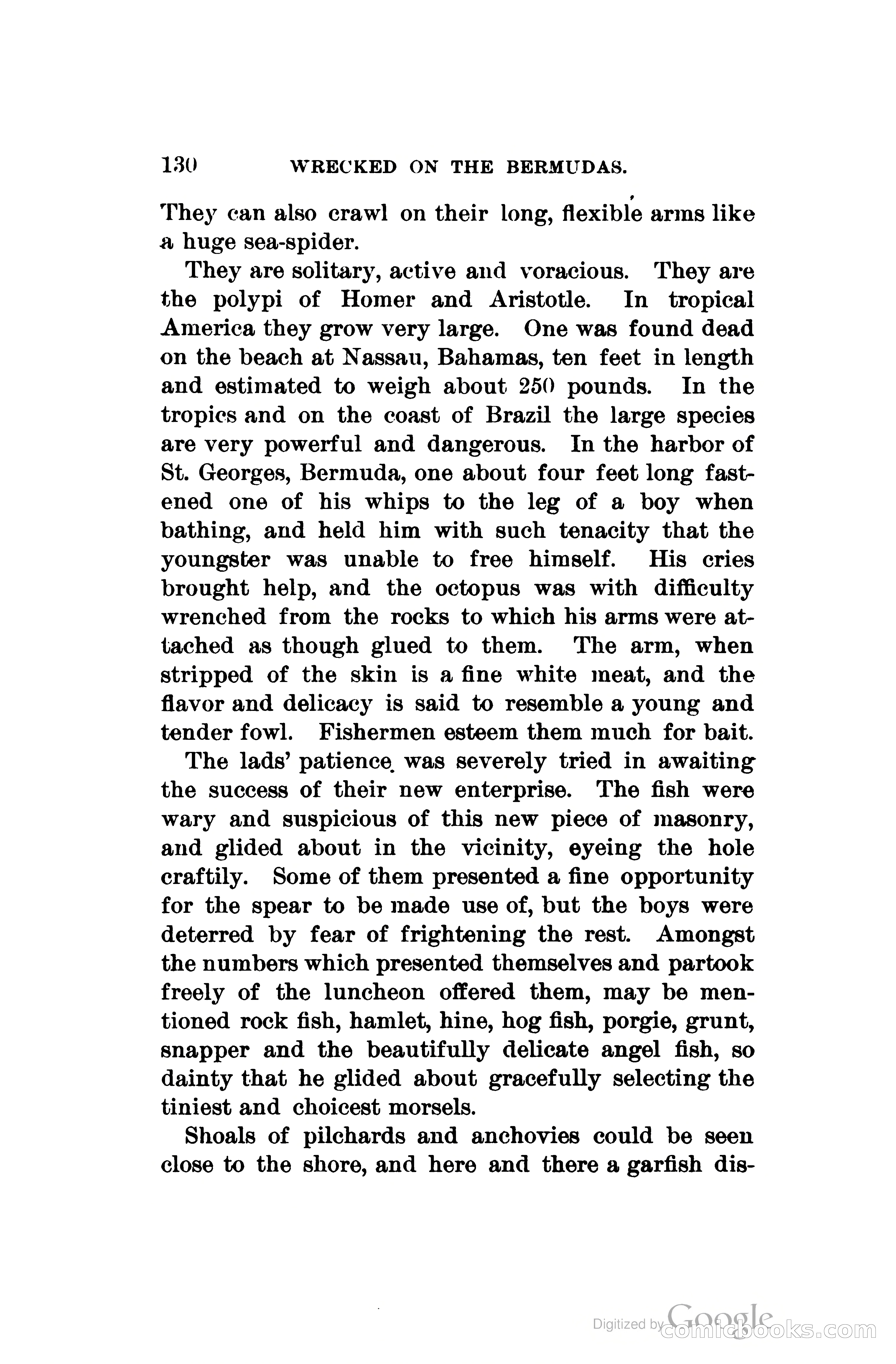 Wrecked On The Bermudas: The Thrilling Adventures Of Three Boys — page 167 of 344