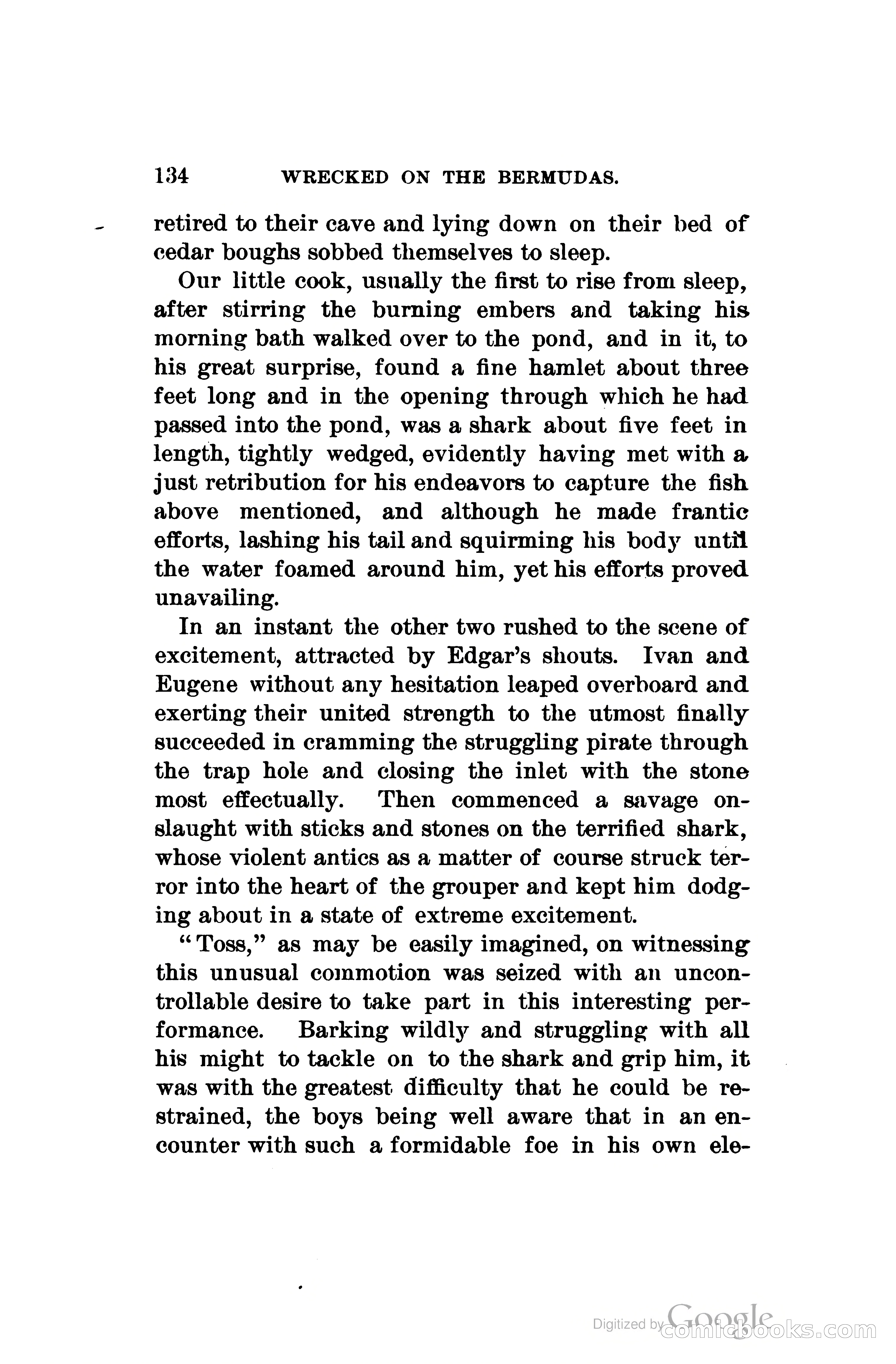 Wrecked On The Bermudas: The Thrilling Adventures Of Three Boys — page 171 of 344