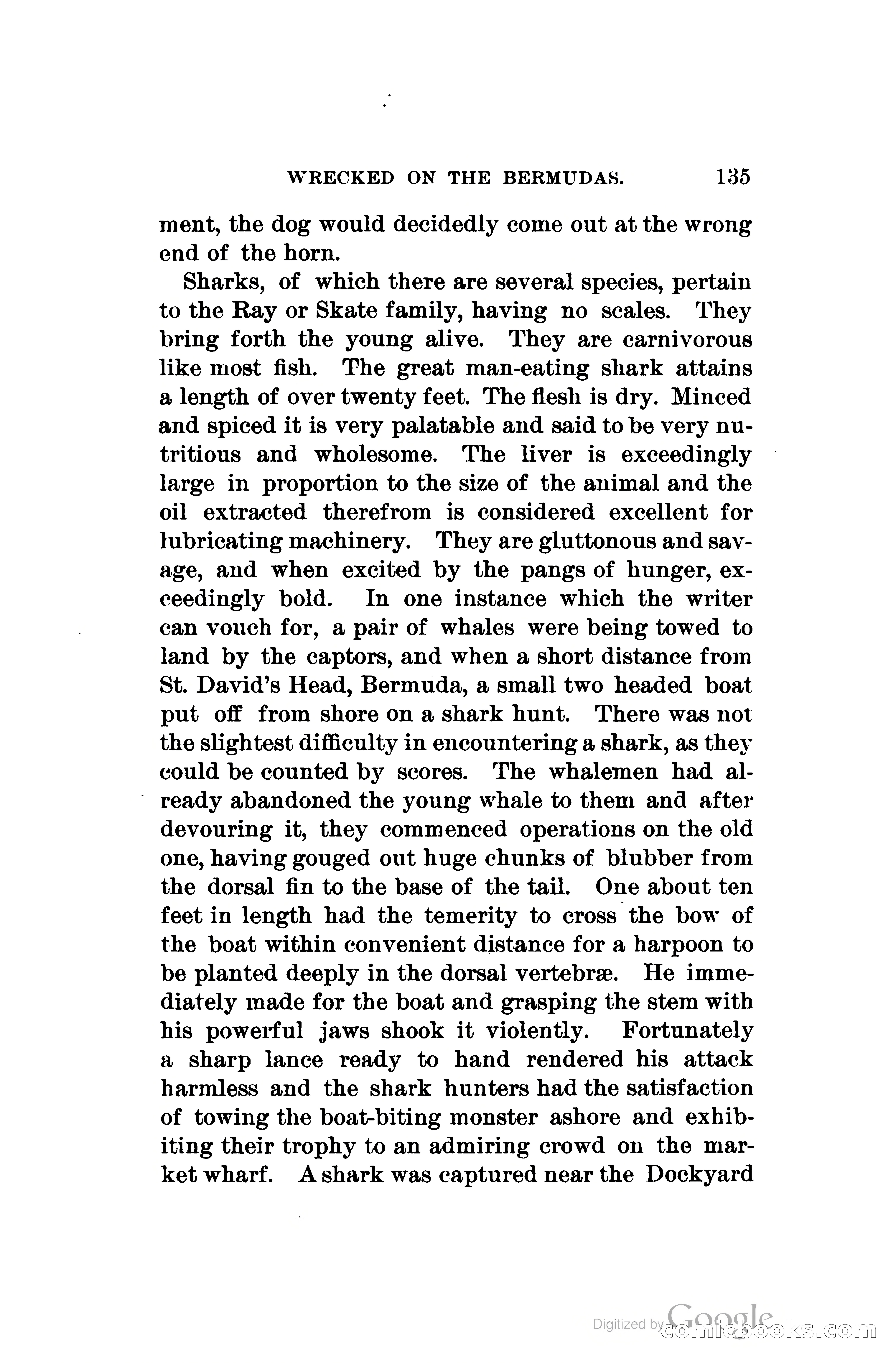 Wrecked On The Bermudas: The Thrilling Adventures Of Three Boys — page 172 of 344