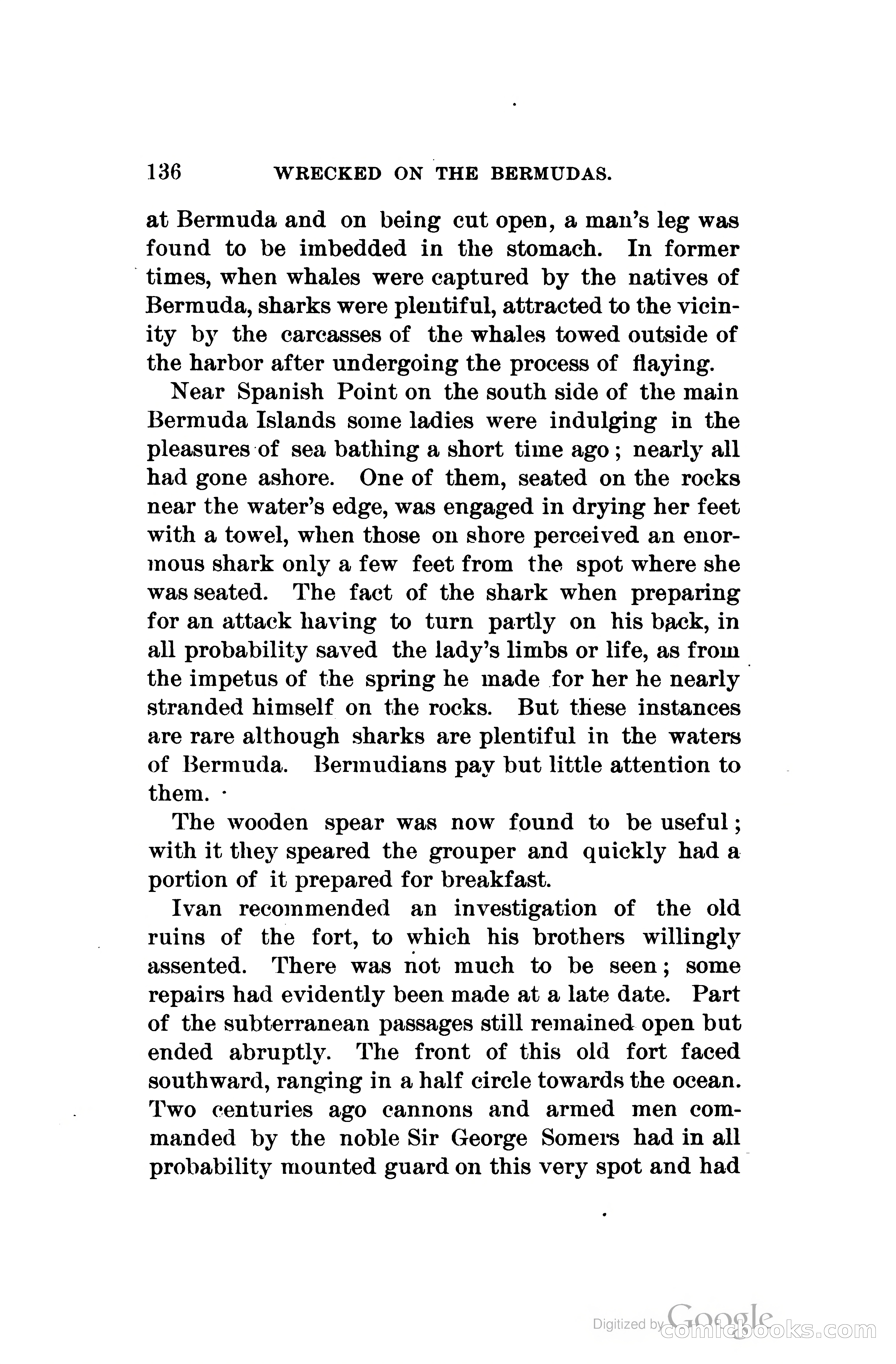 Wrecked On The Bermudas: The Thrilling Adventures Of Three Boys — page 173 of 344